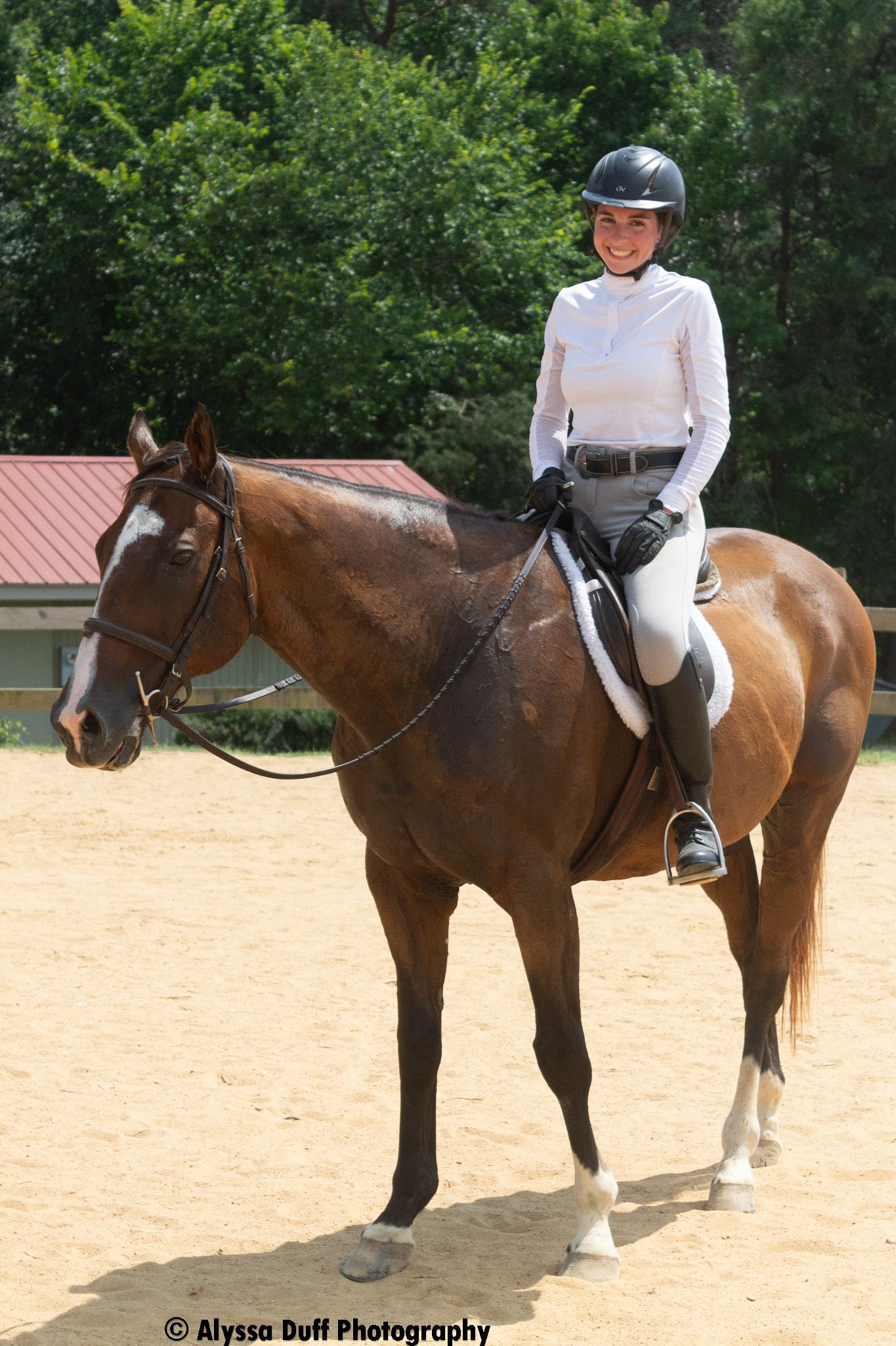 Equine Photography