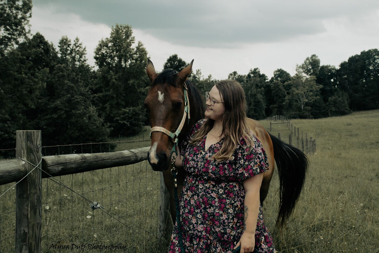 Equine Photography