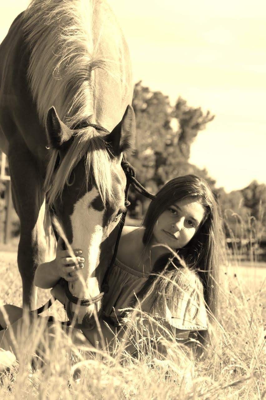 Equine Photography
