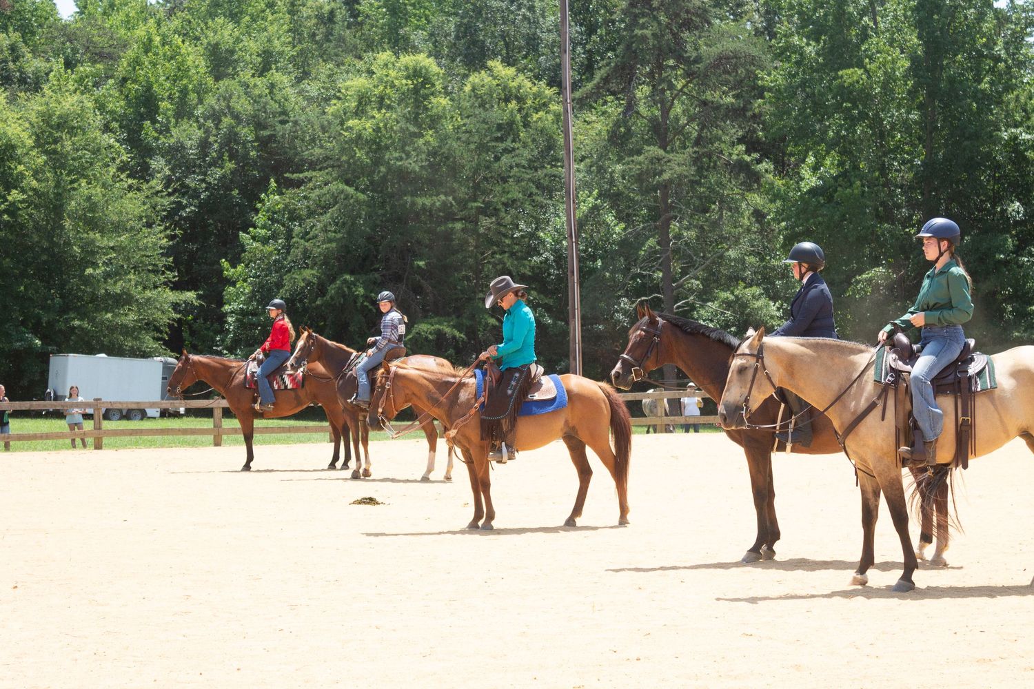 Equine Photography