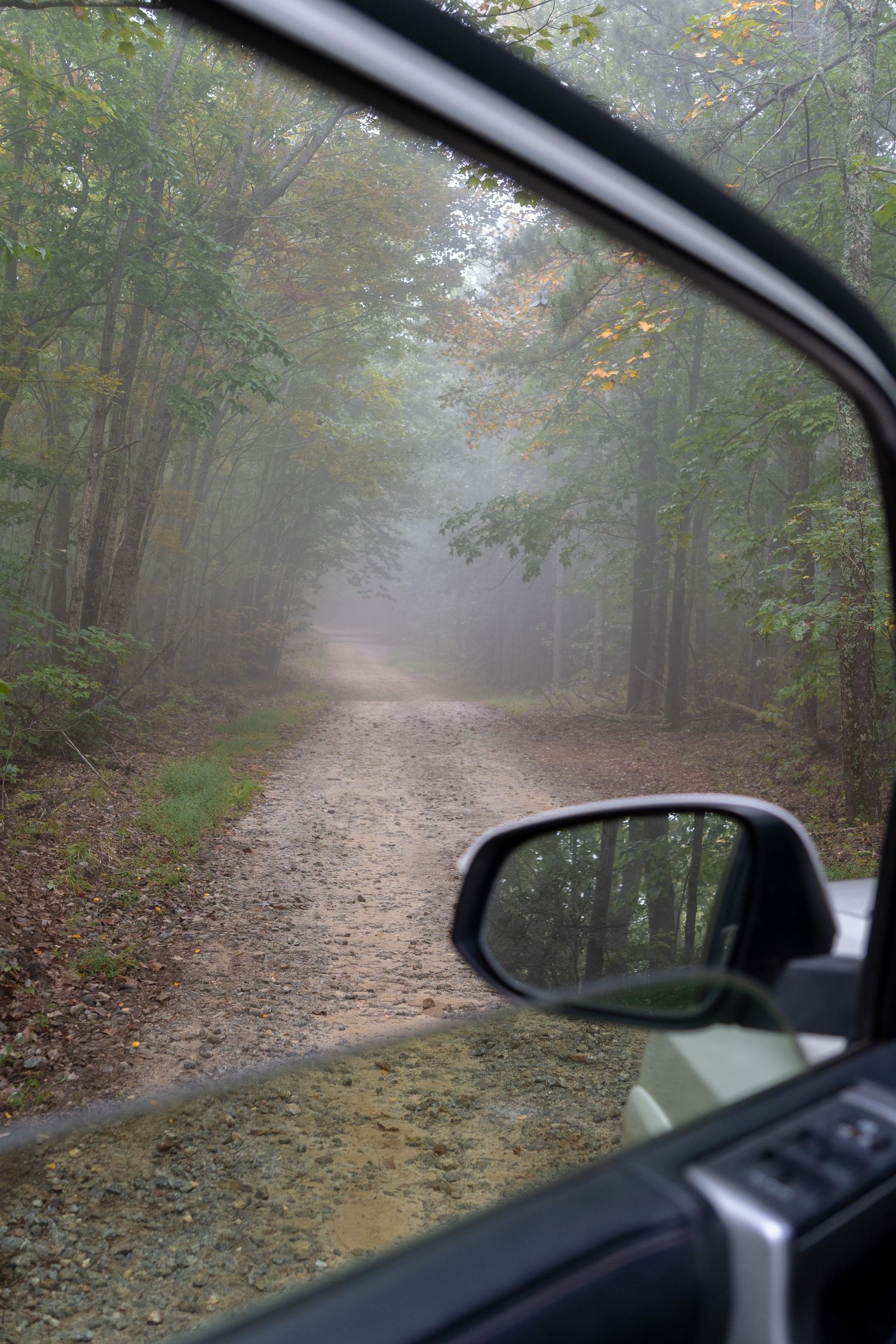 A misty road is viewed from the rolled down window of a car. There are green trees lining the drive and the road is dirt.