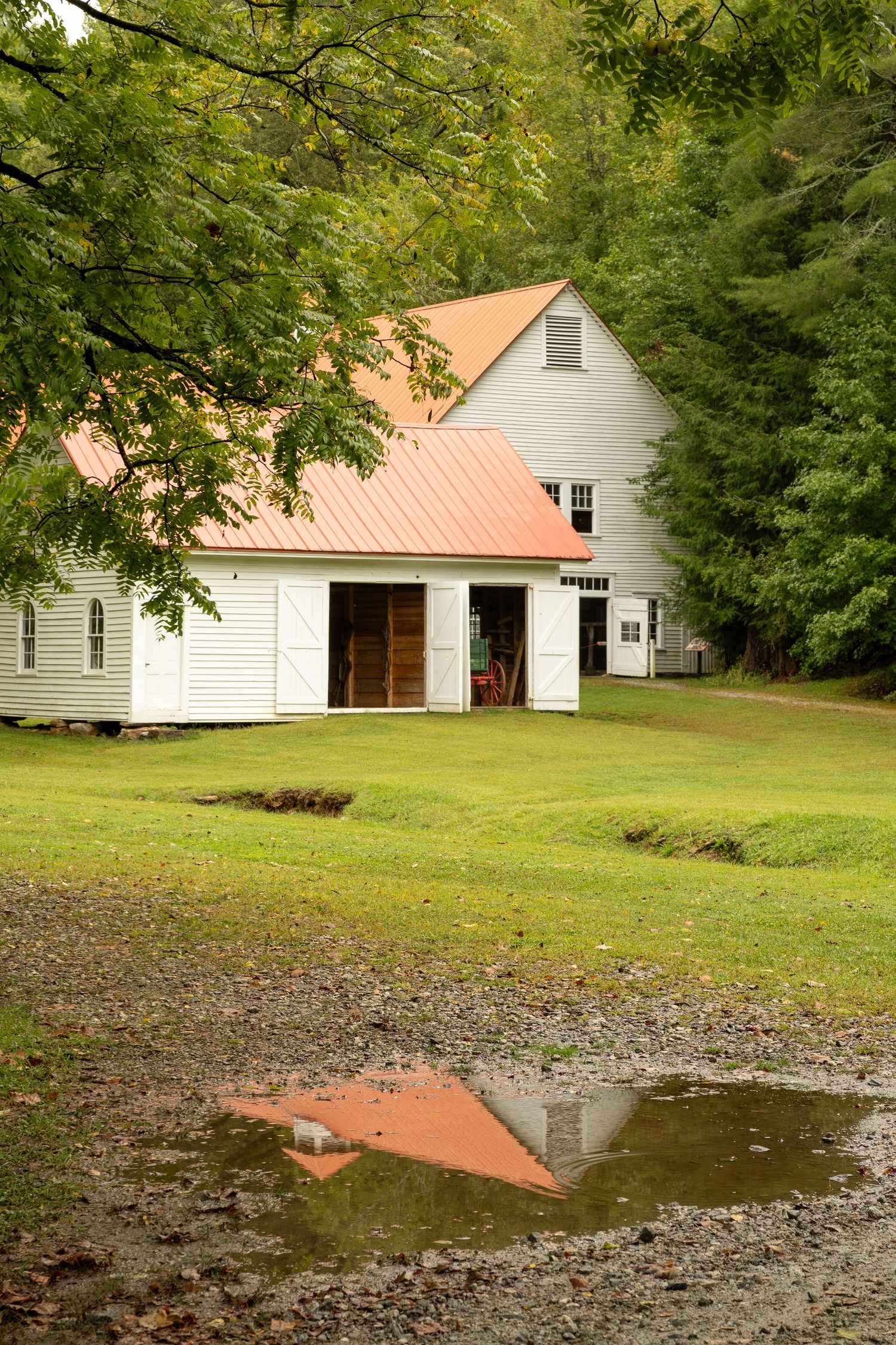 A rustic wooden barn with weathered boards stands in a grassy field, partially framed by trees and a puddle reflection