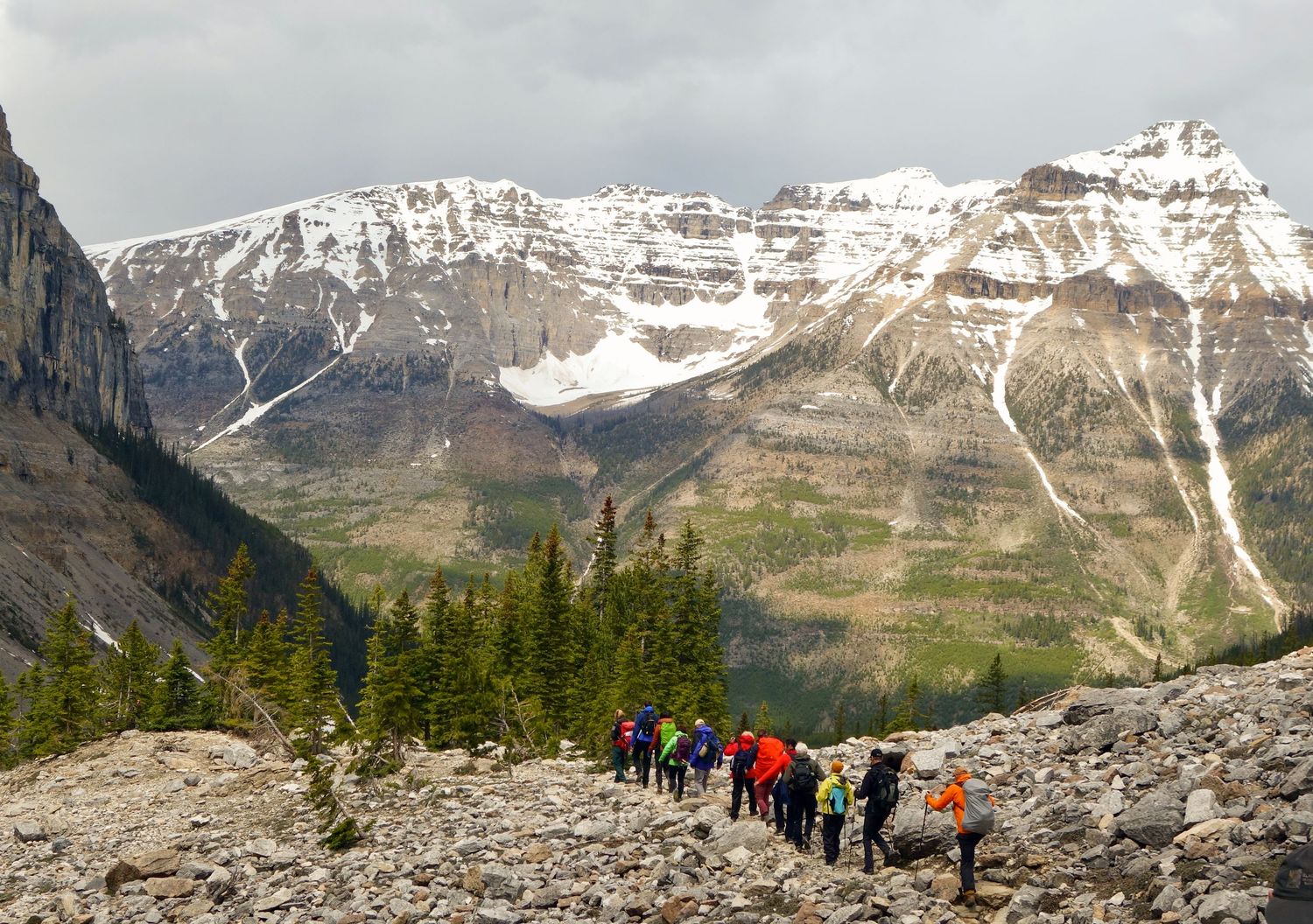 A group of hikers wearing colorful jackets enjoys an authentic adventure along a rocky mountain trail lined with pine trees