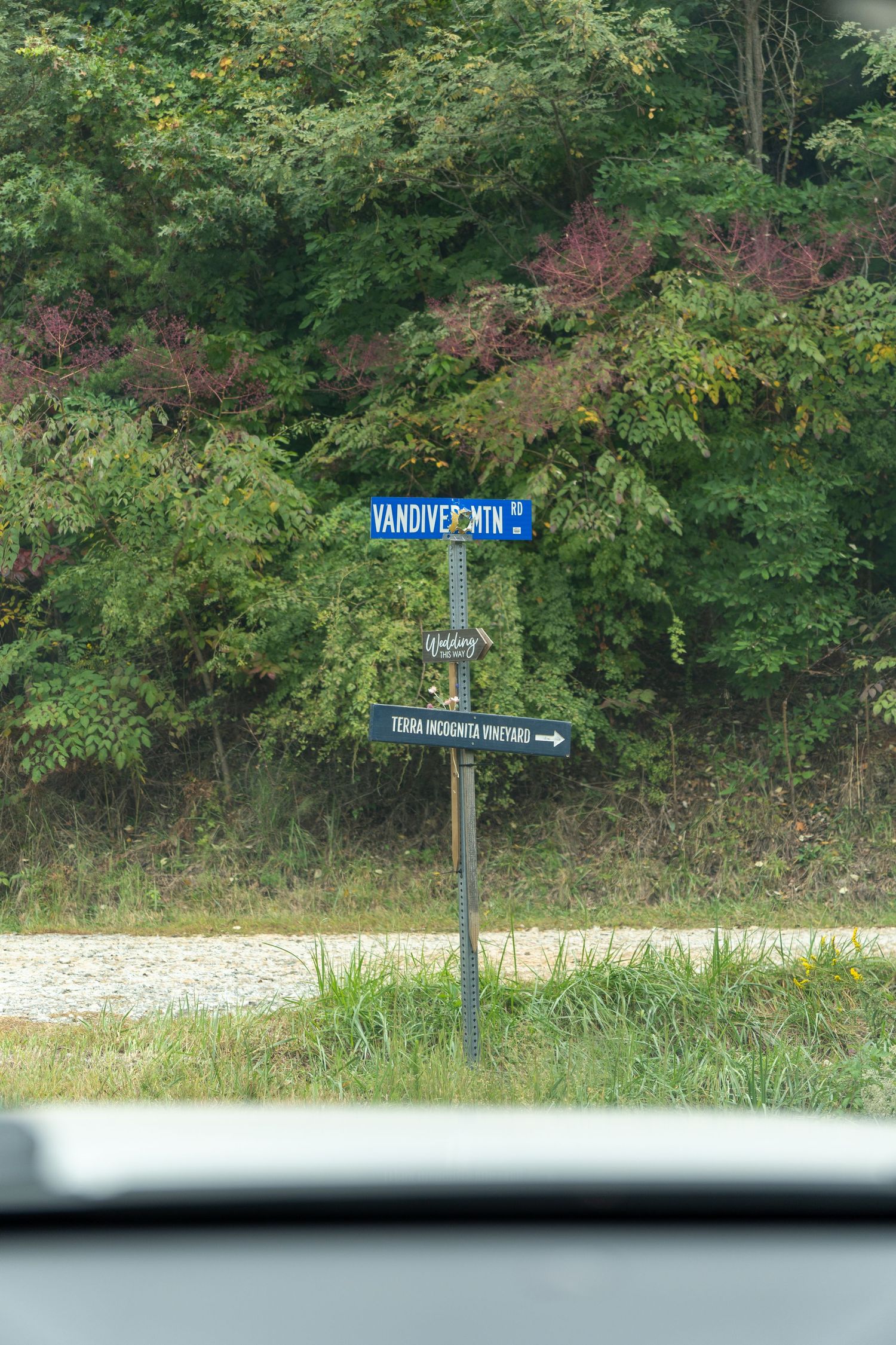 An inviting sign post leads guests into a vineyard.