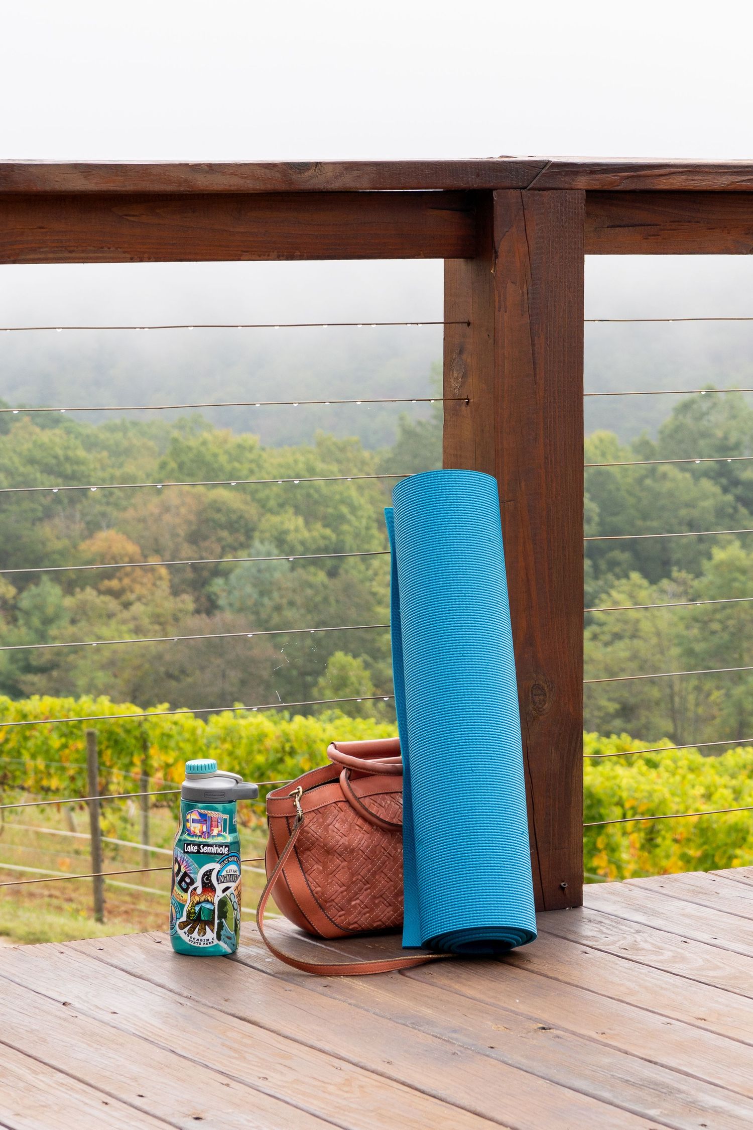 A yoga mat is rolled up and propped against a wire fence overlooking a vineyard with misty mountains in the background
