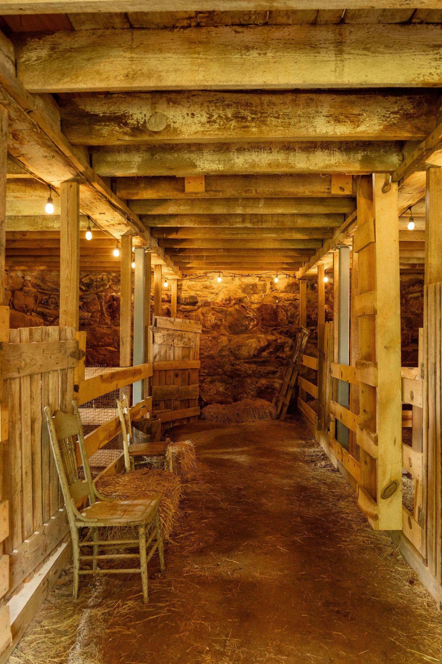 A view into a horse barn with lights on and wooden chairs lining the aisle. Bales of straw sit randomly.