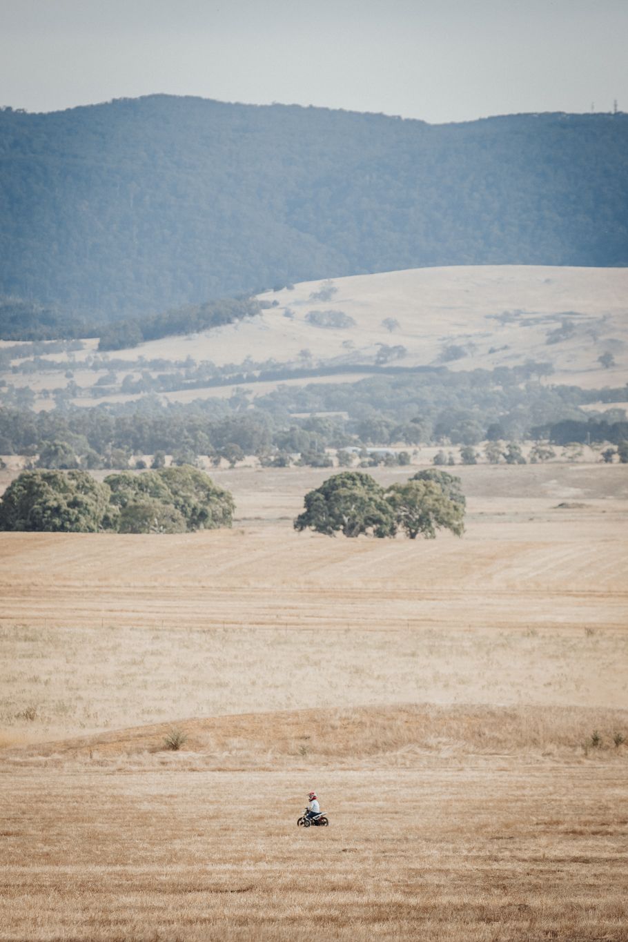 Paige Gray Photography