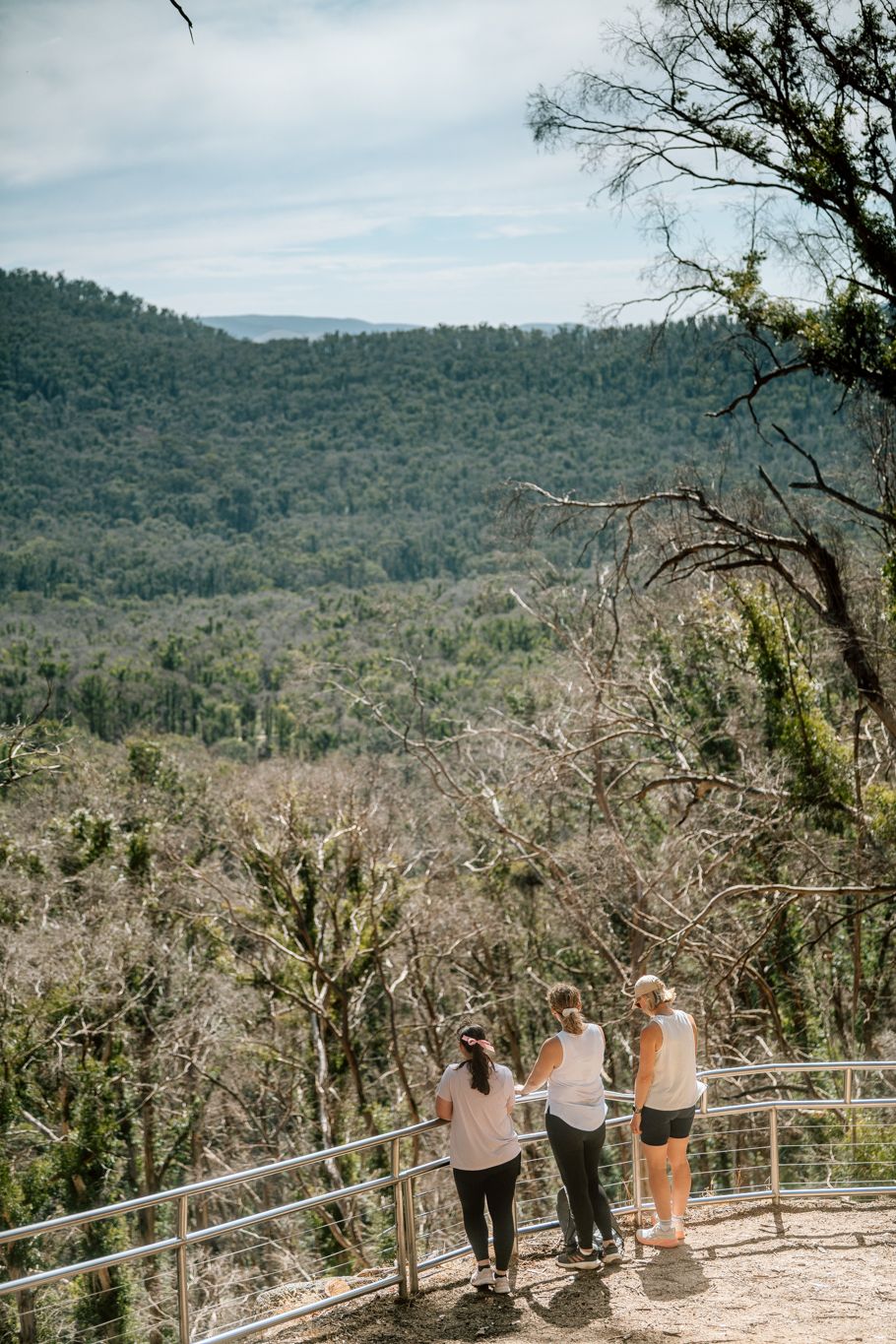 Paige Gray Photography