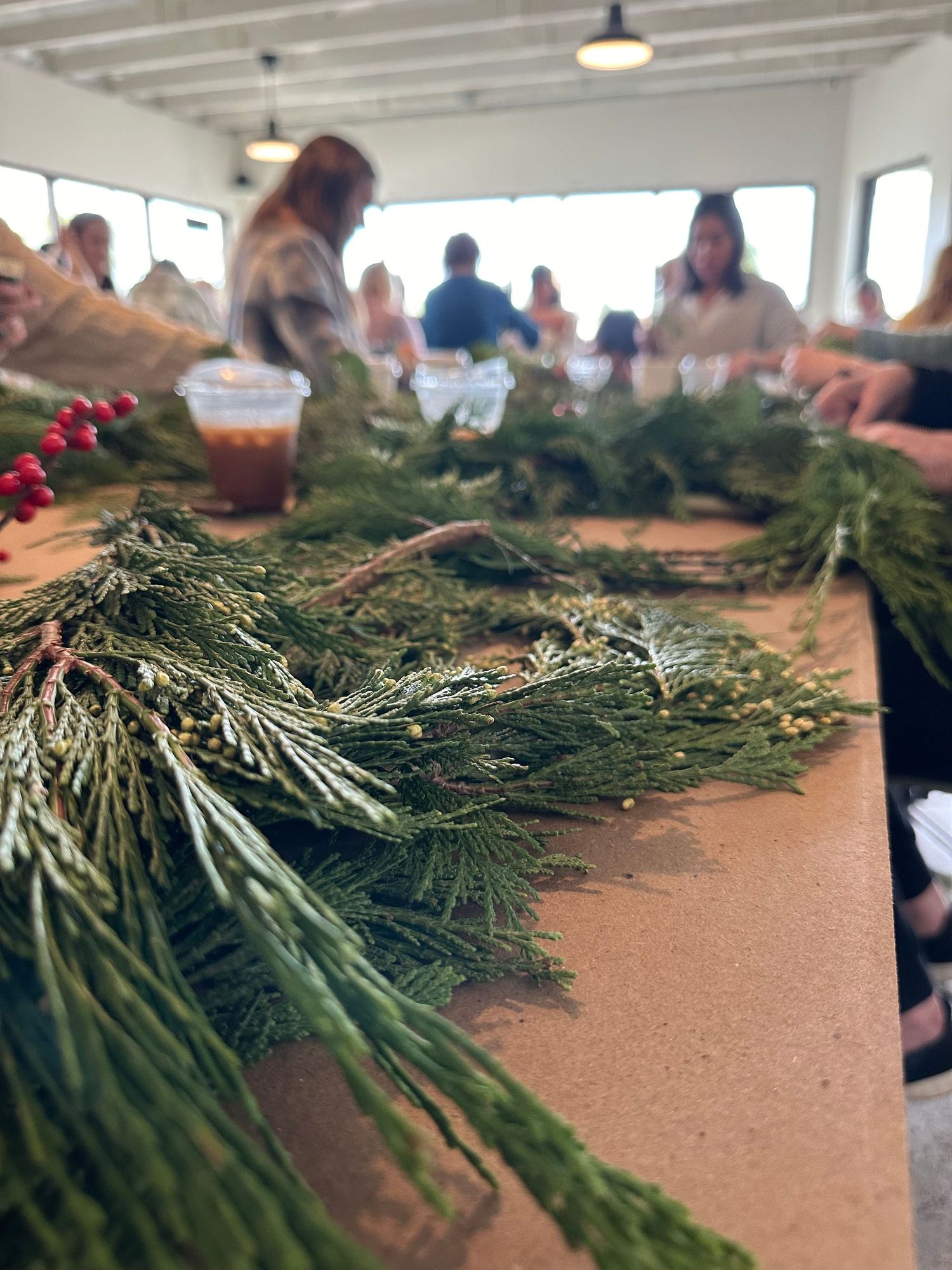Holiday living greenery for a Christmas wreath floral flower workshop while drinking coffee in Arroyo Grande in San Luis Obispo, California