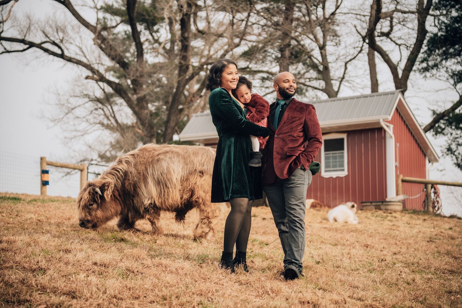 A series of outdoor engagement photos showing a couple and their dog on a rustic farm property during golden hour.
