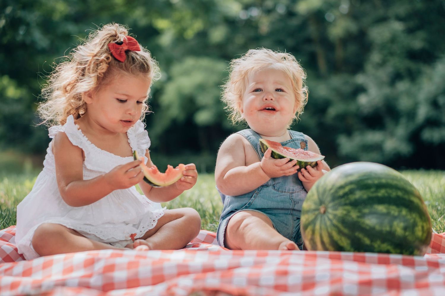 Two toddlers enjoy watermelon slices on a picnic blanket outdoors on a sunny day.