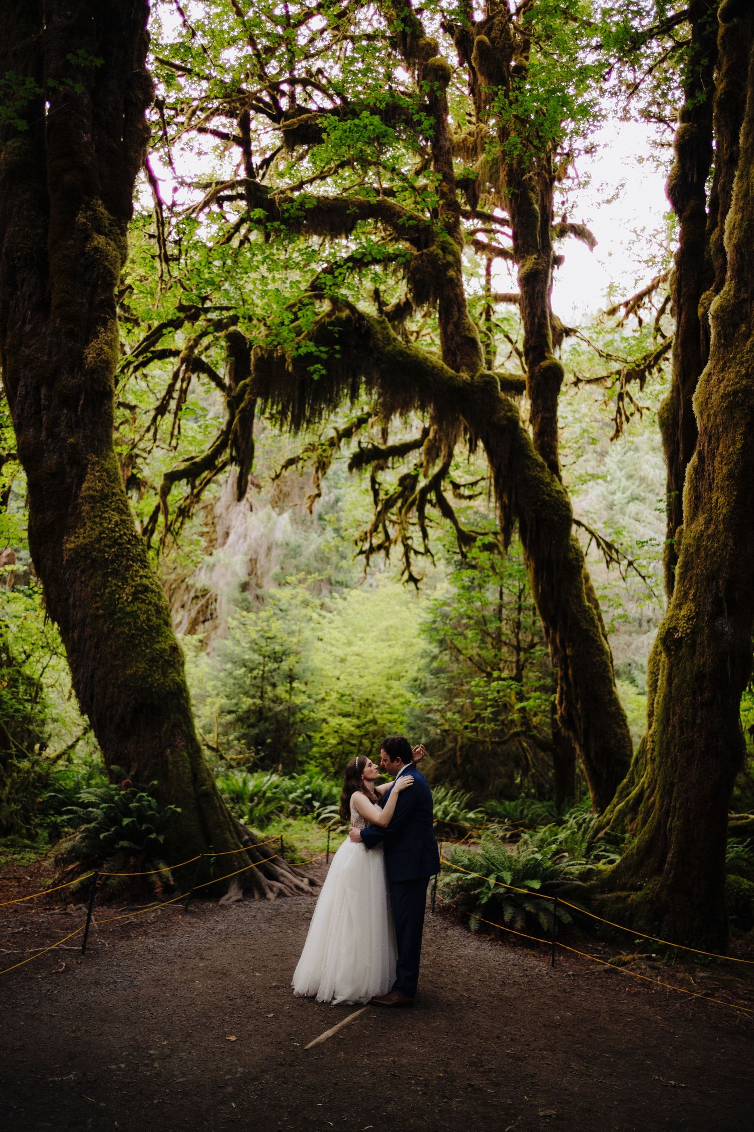 A mystical forest wedding scene surrounded by ancient moss-covered trees in the Pacific Northwest.