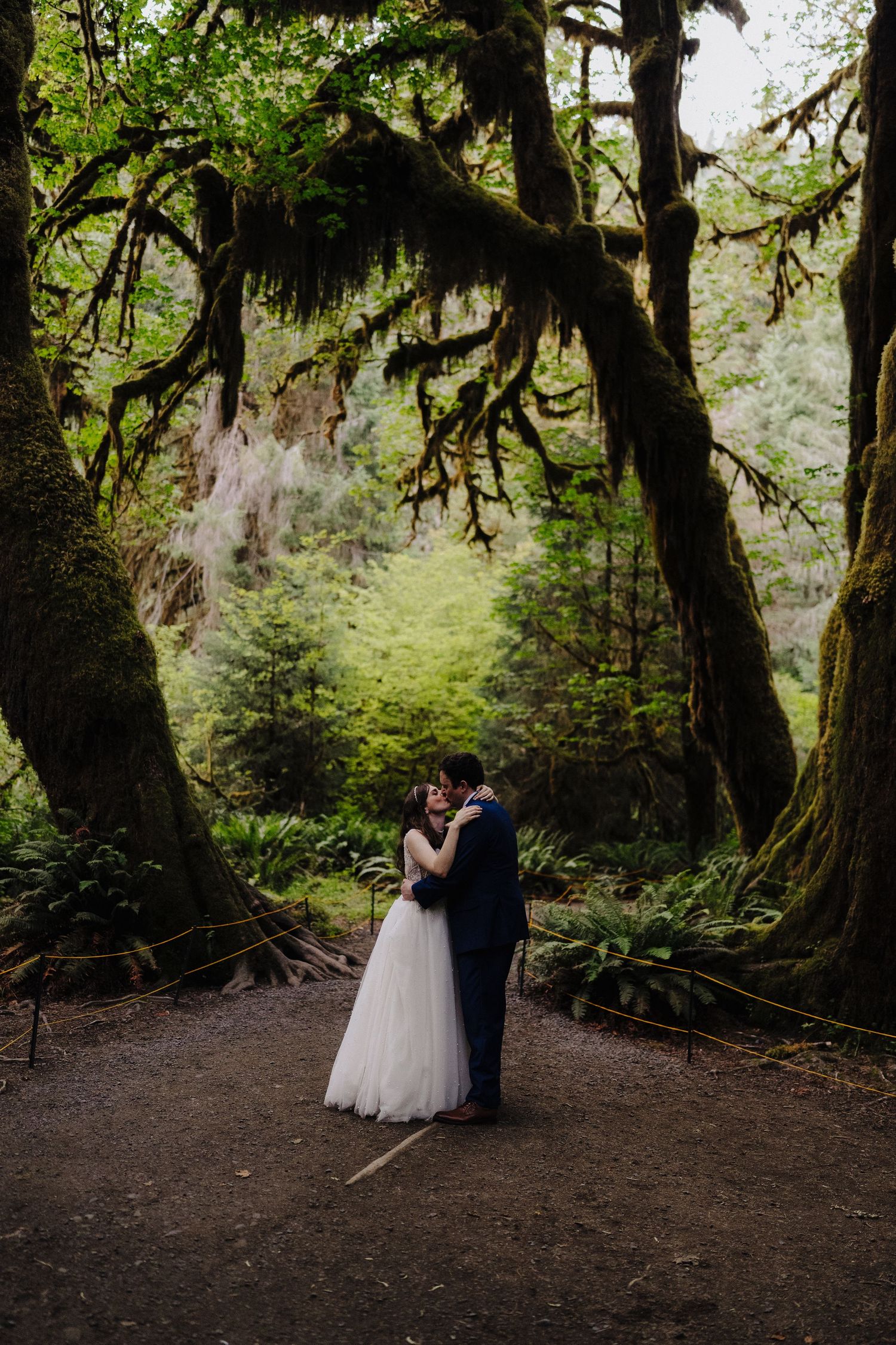 A wedding couple shares a moment under ancient moss-covered trees in a mystical forest setting.