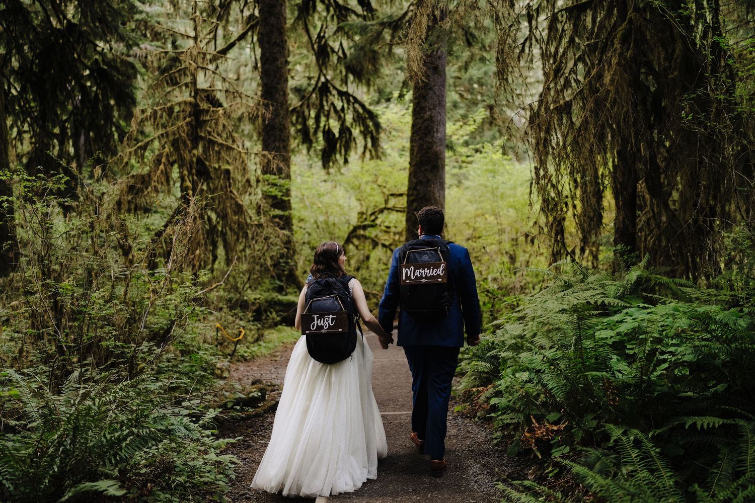 A couple in matching jackets walks along a forest path surrounded by ferns and evergreen trees.