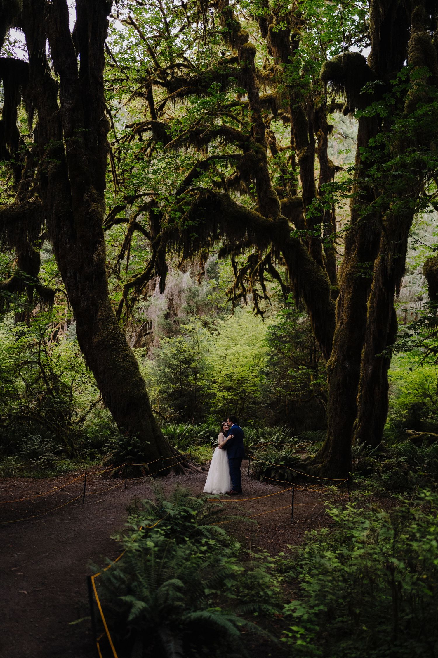 A couple shares a romantic moment on a misty woodland path through towering mossy trees in an enchanted forest setting.