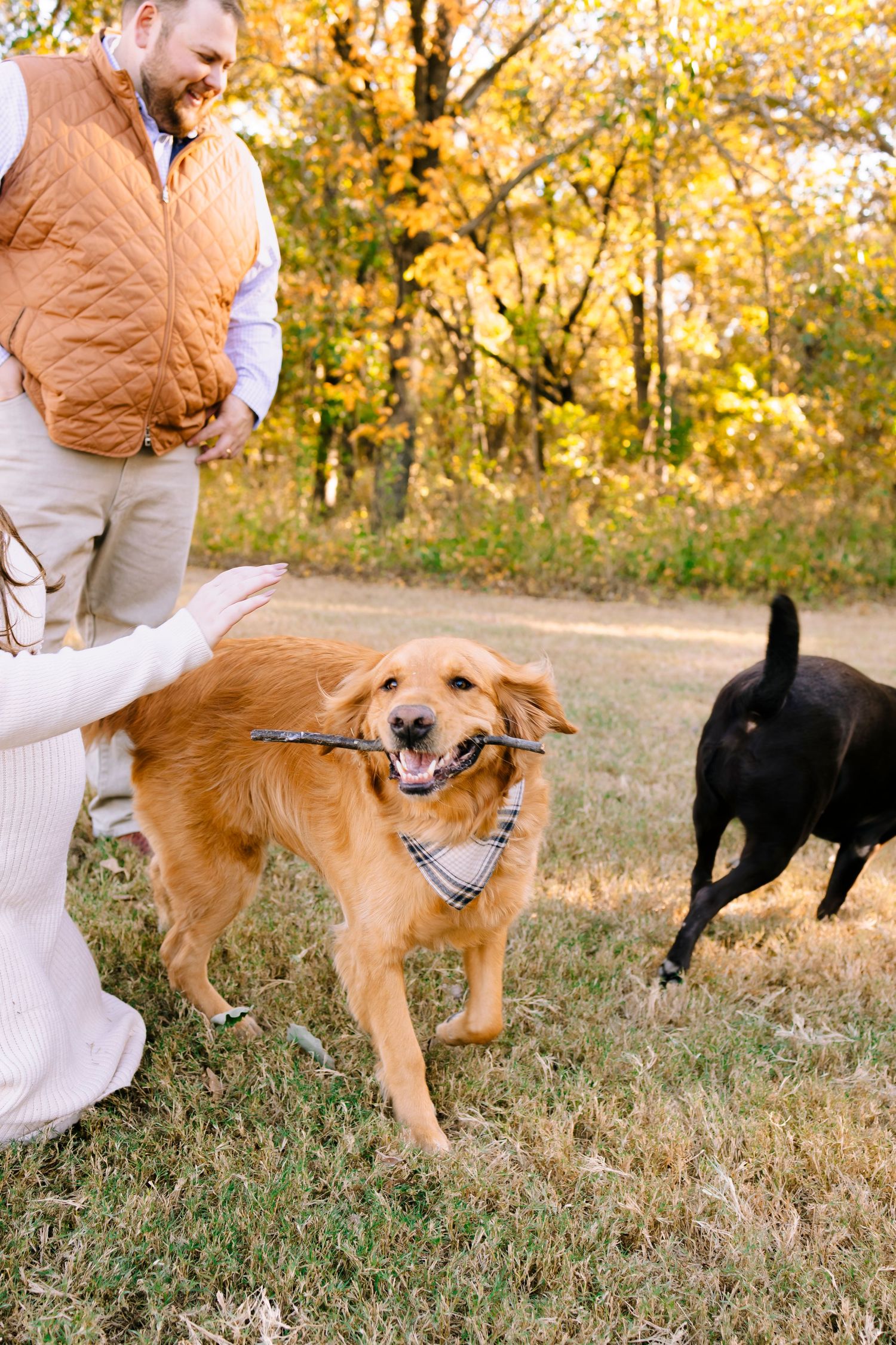 family photographer, North Texas photographer, Plano photographer, Frisco photographer, Dallas photographer, Mckinney photographer