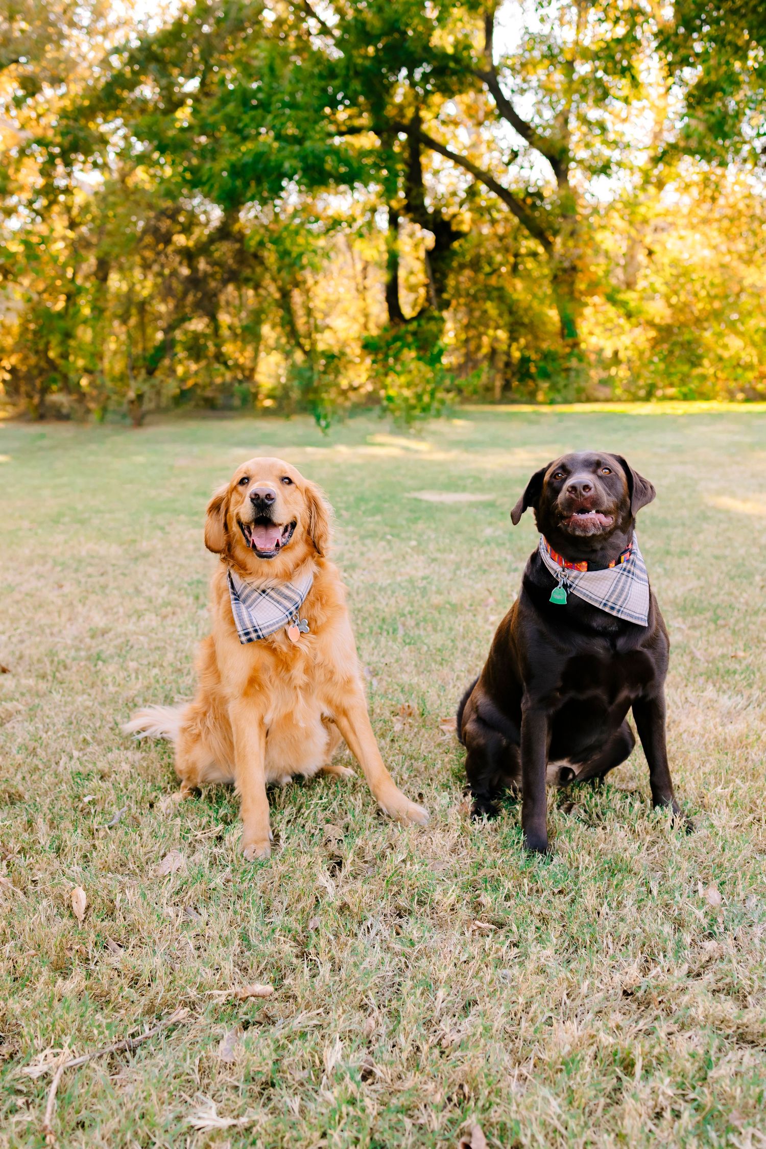 family photographer, North Texas photographer, Plano photographer, Frisco photographer, Dallas photographer, Mckinney photographer
