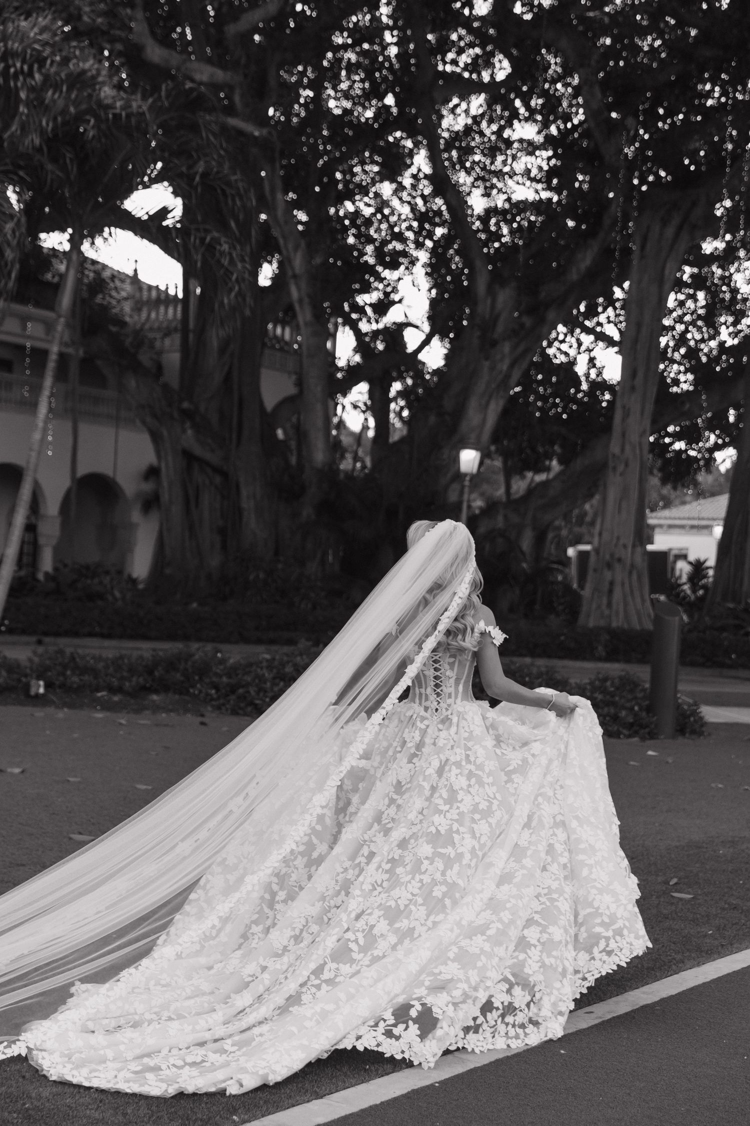 A stunning lace wedding dress with cathedral veil flows across a street as trees create a romantic backdrop.
