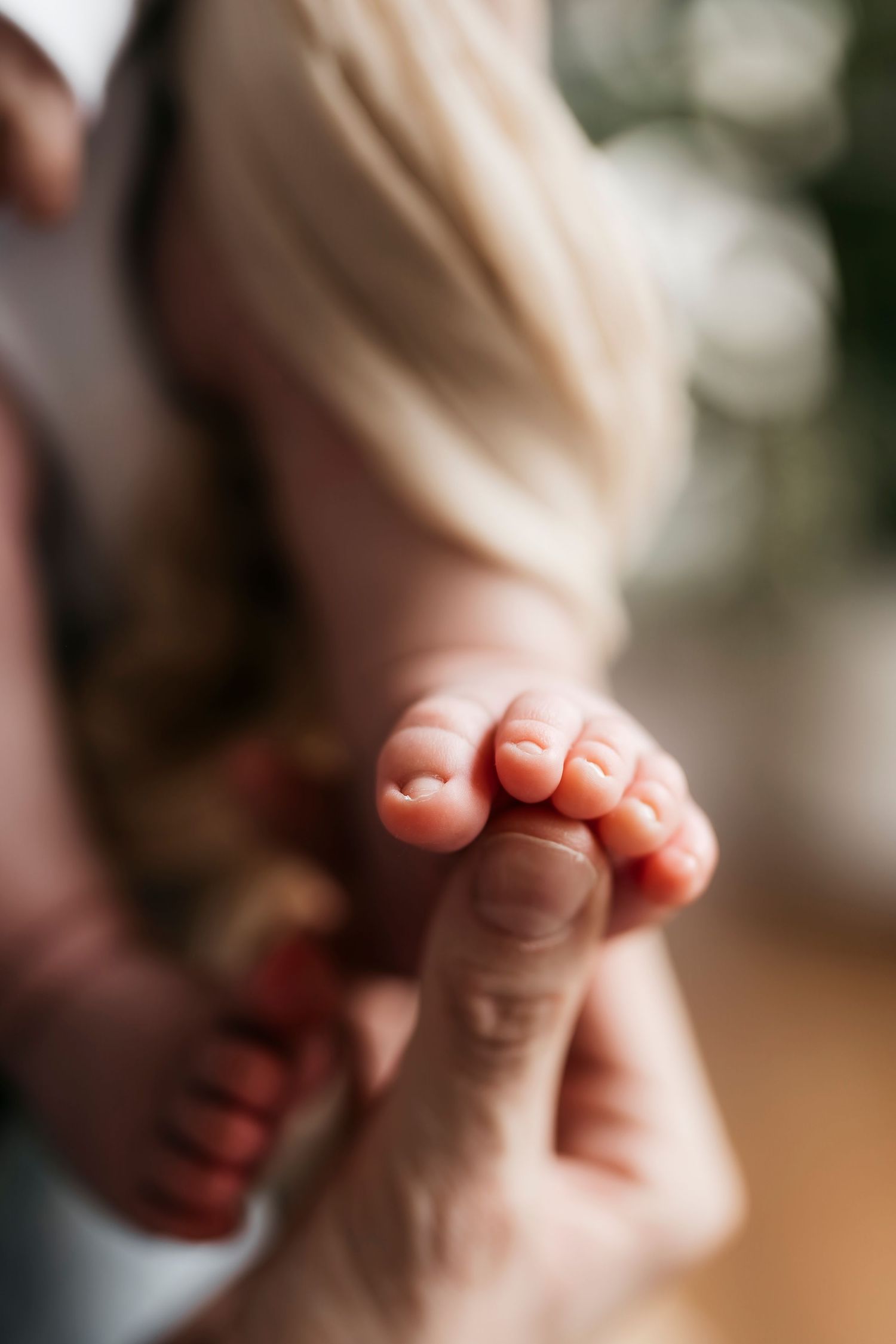 Delicate newborn baby feet held gently by parent fingers in soft natural light.