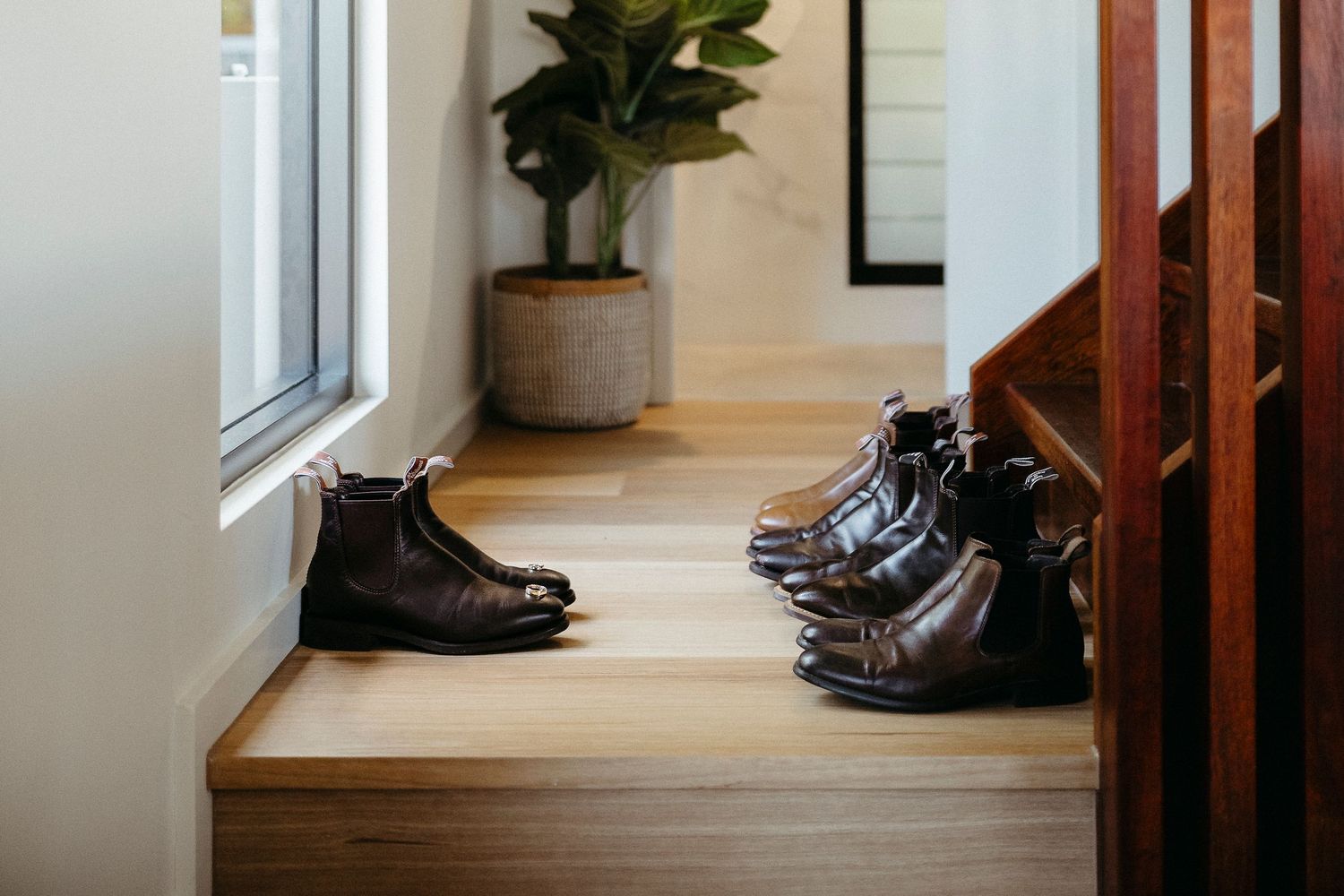 Multiple pairs of dark leather boots neatly arranged on light wood stairs near a window and potted plant.