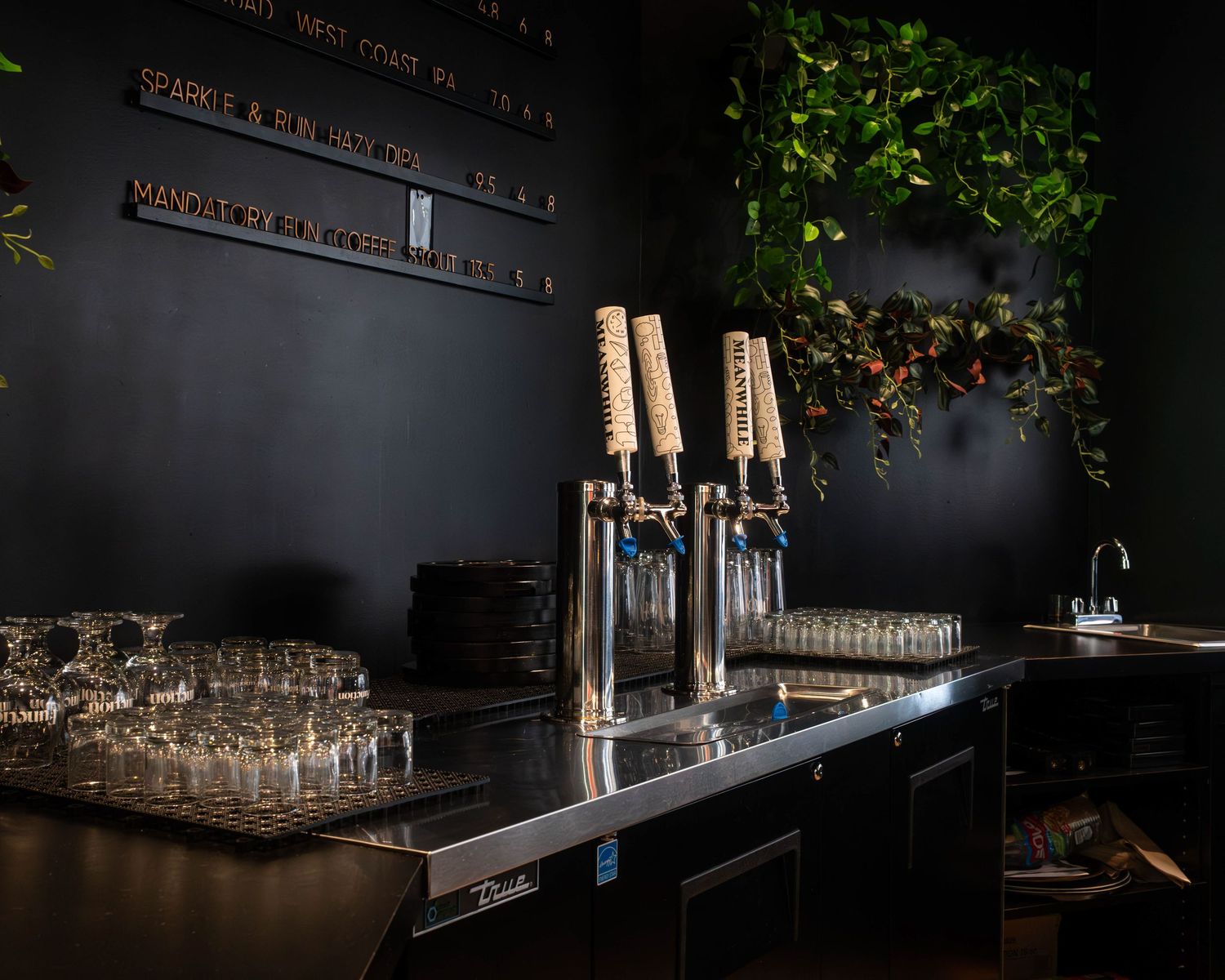 A branding photo taken by Shootrscapes for Function PDX (a local business).