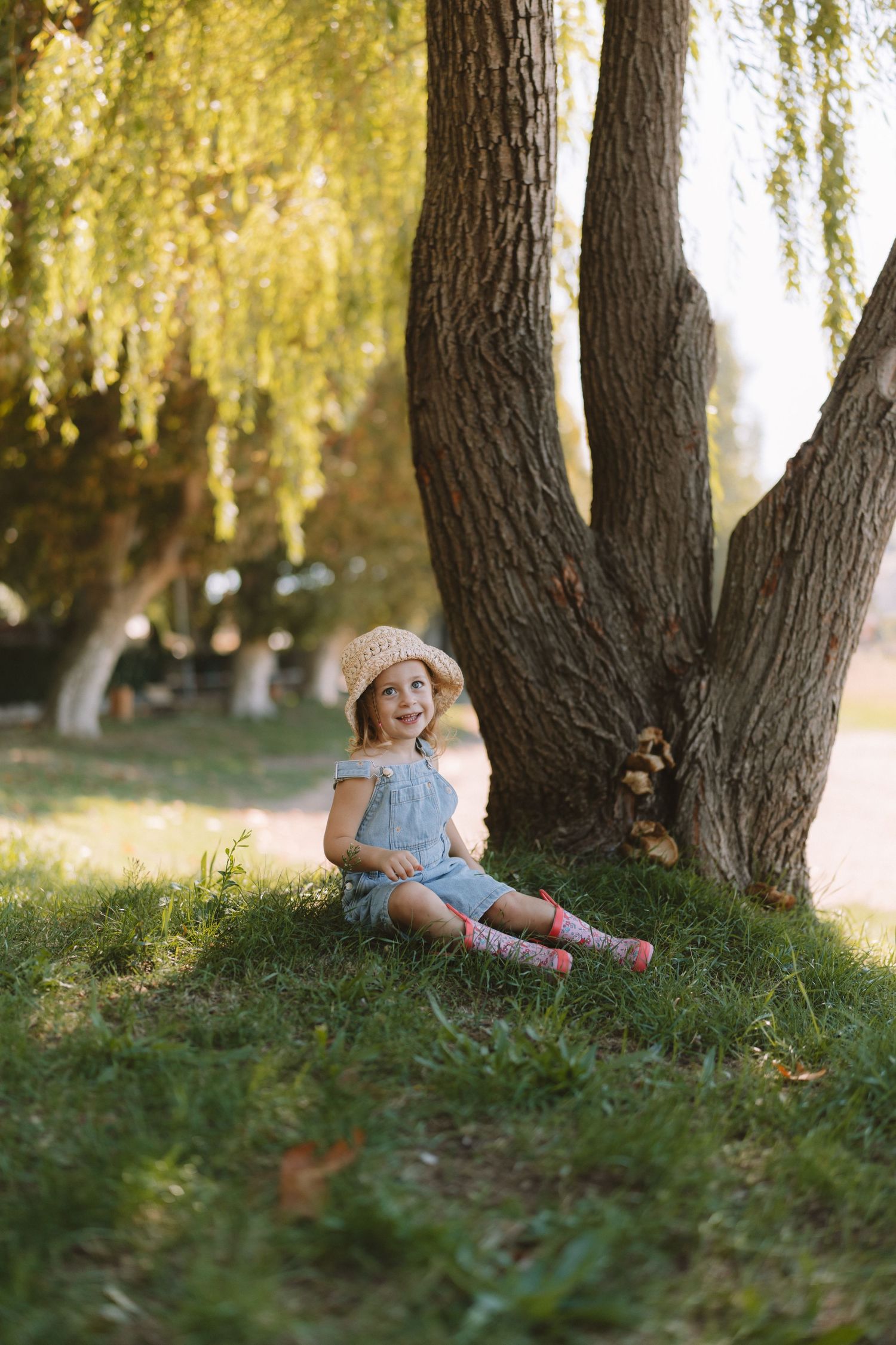 Peaceful scene under willow trees with grass and soft sunlight filtering through hanging branches.