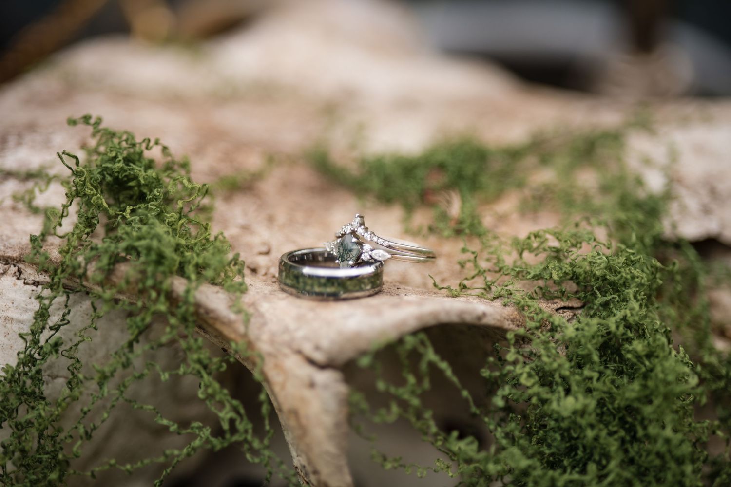Wedding rings rest on driftwood surrounded by delicate green moss in an artistic macro photography shot.