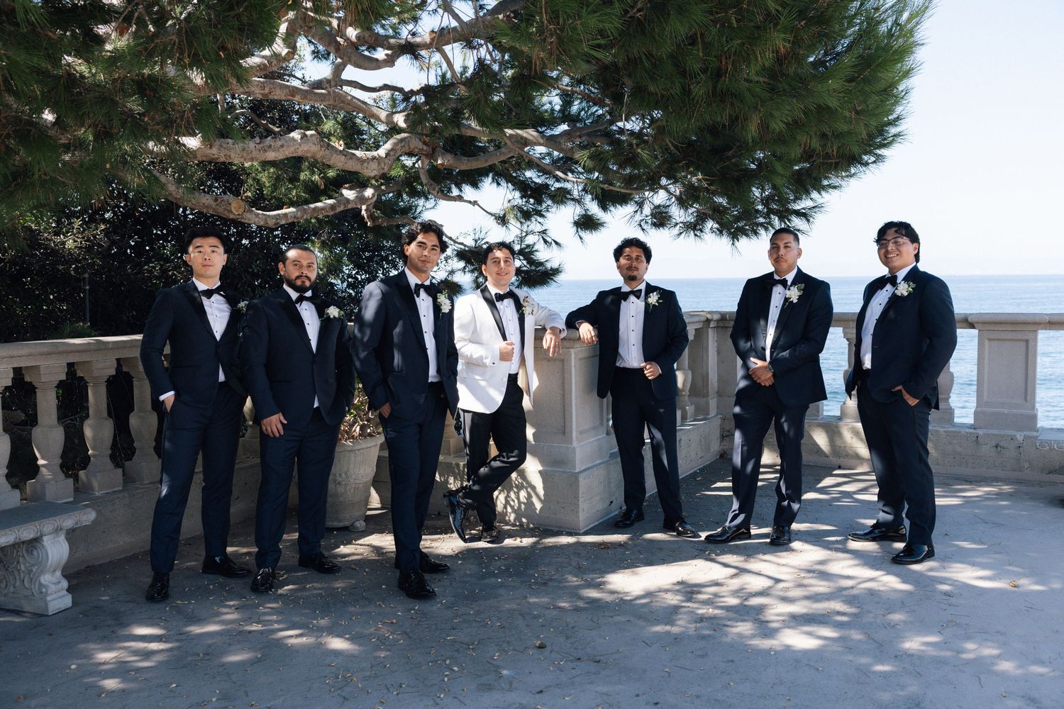 Wedding party in dark suits poses along a scenic coastal overlook on a sunny day with trees and ocean views.