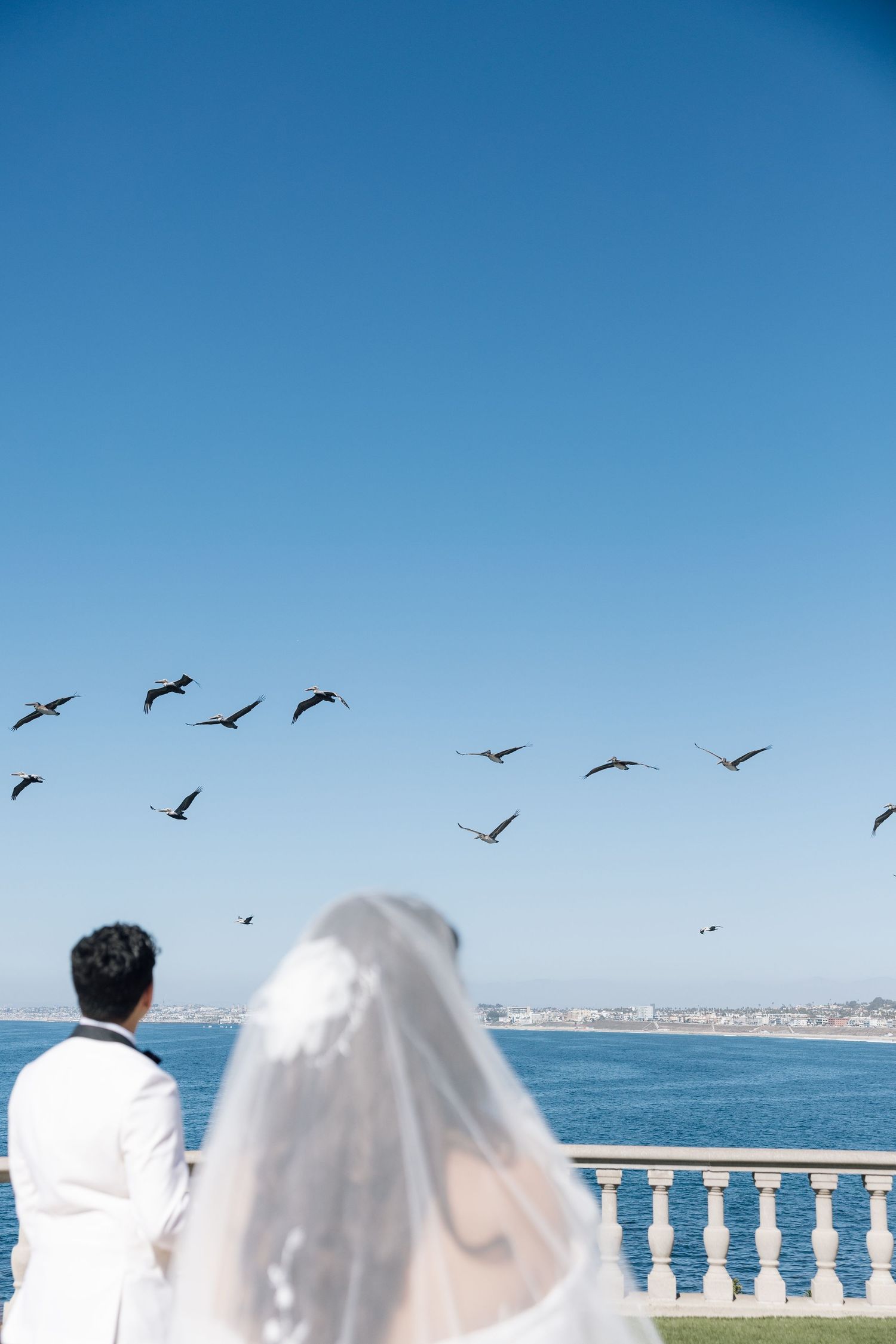 Birds soar over a coastal balcony with white stone railings against a bright blue ocean and sky backdrop.