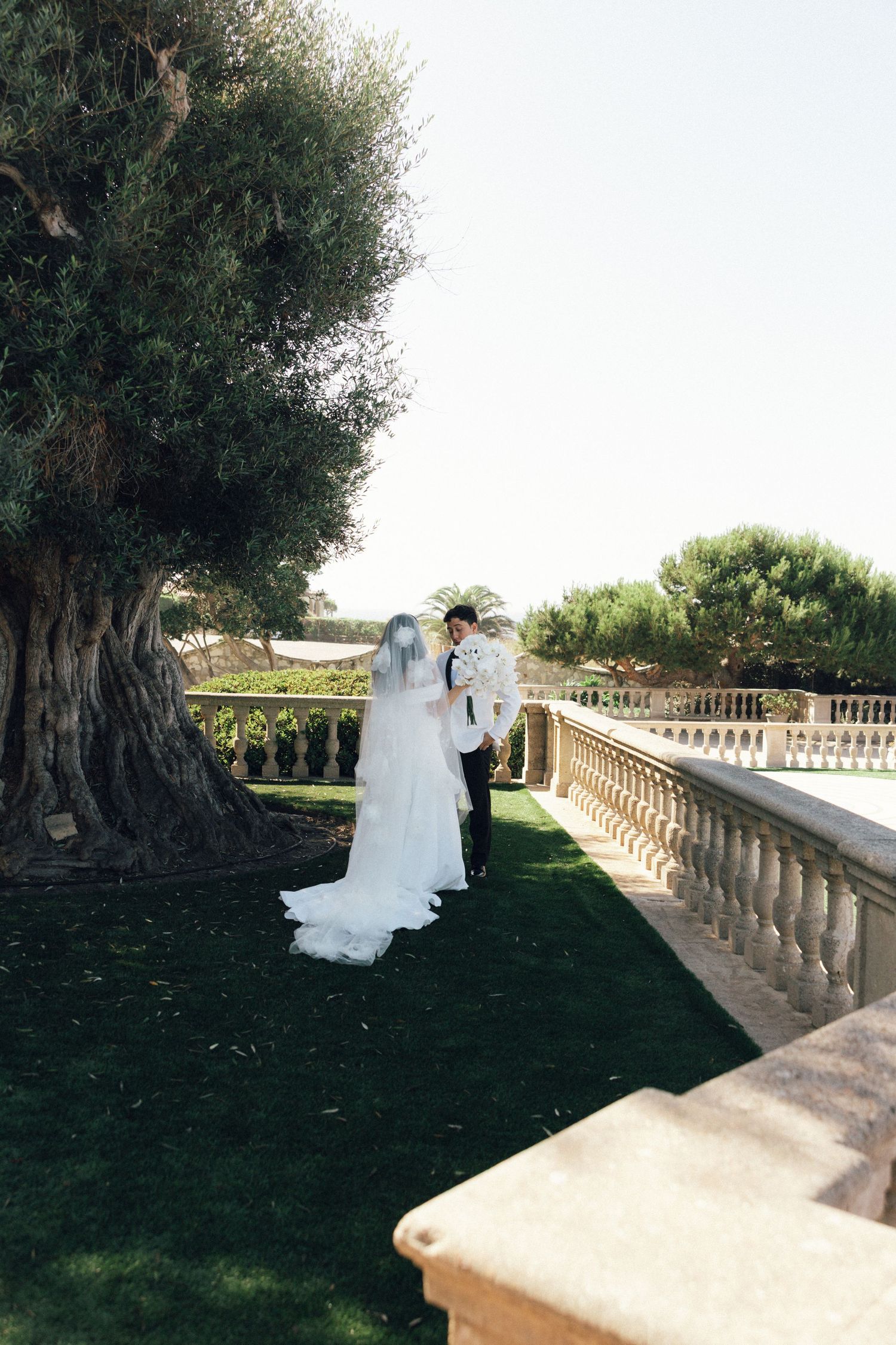 A romantic wedding scene on a stone balcony overlooking a garden with olive trees in the Mediterranean sunlight.
