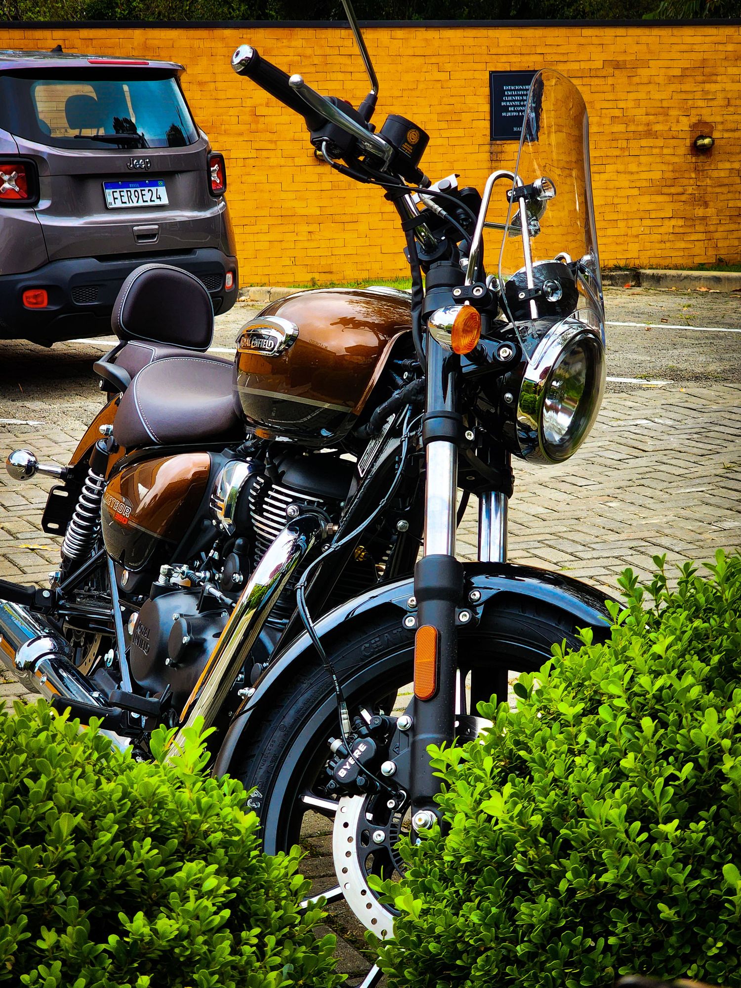 Meteor 350 Brown