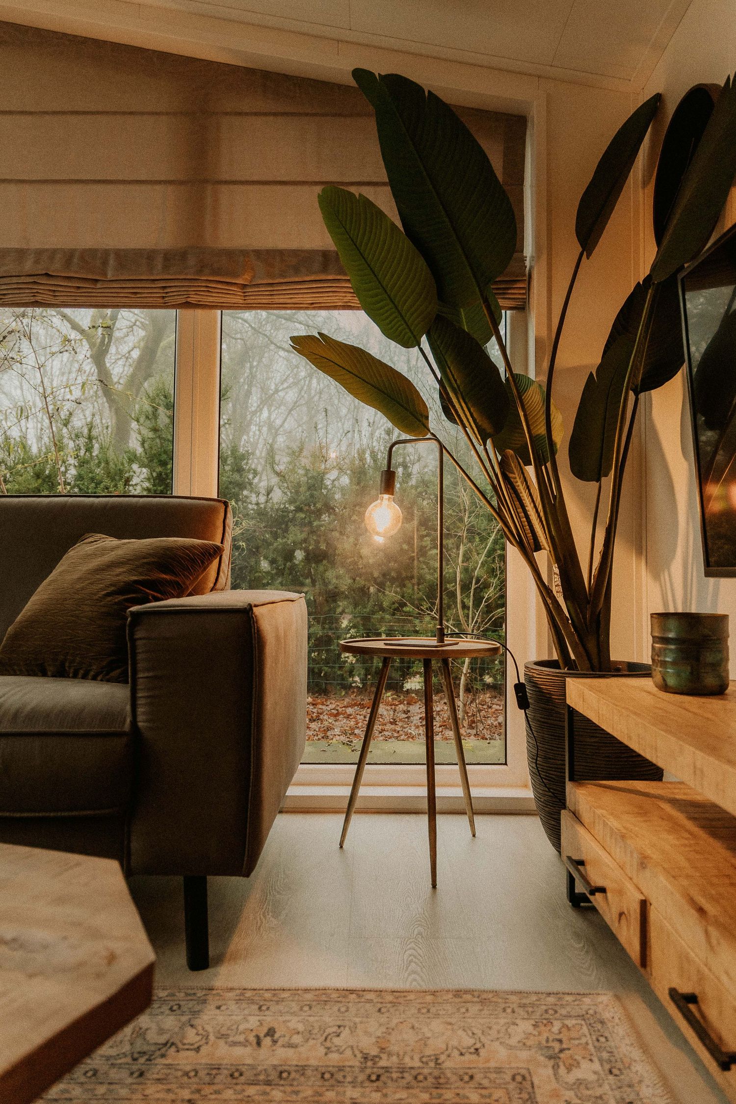 Stijlvolle woonkamer met grote planten en houten meubels bij raam van Summio Parcs in Drenthe.