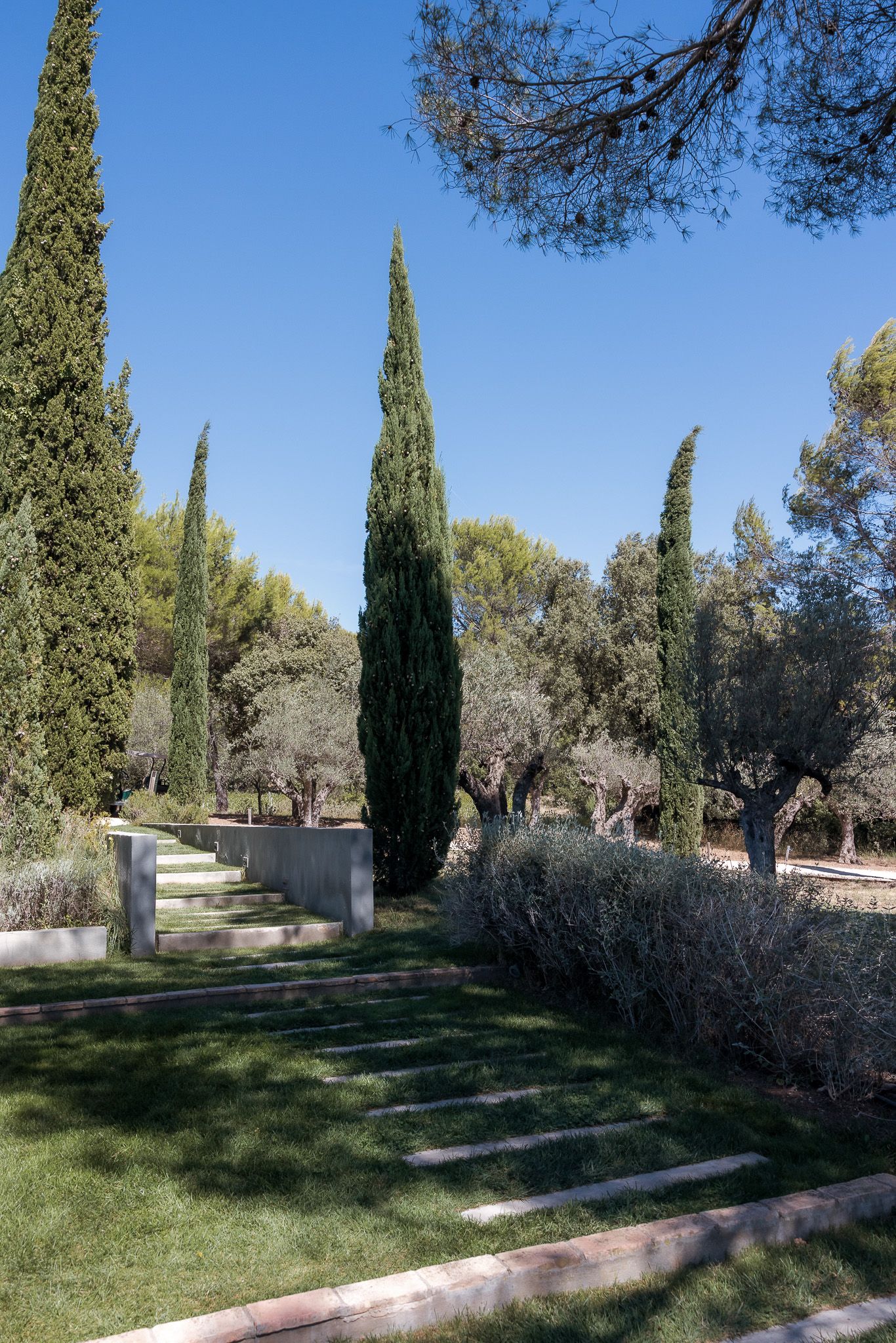 Formal garden path with tall cypress trees, manicured lawn, and stone steps under a clear blue sky.