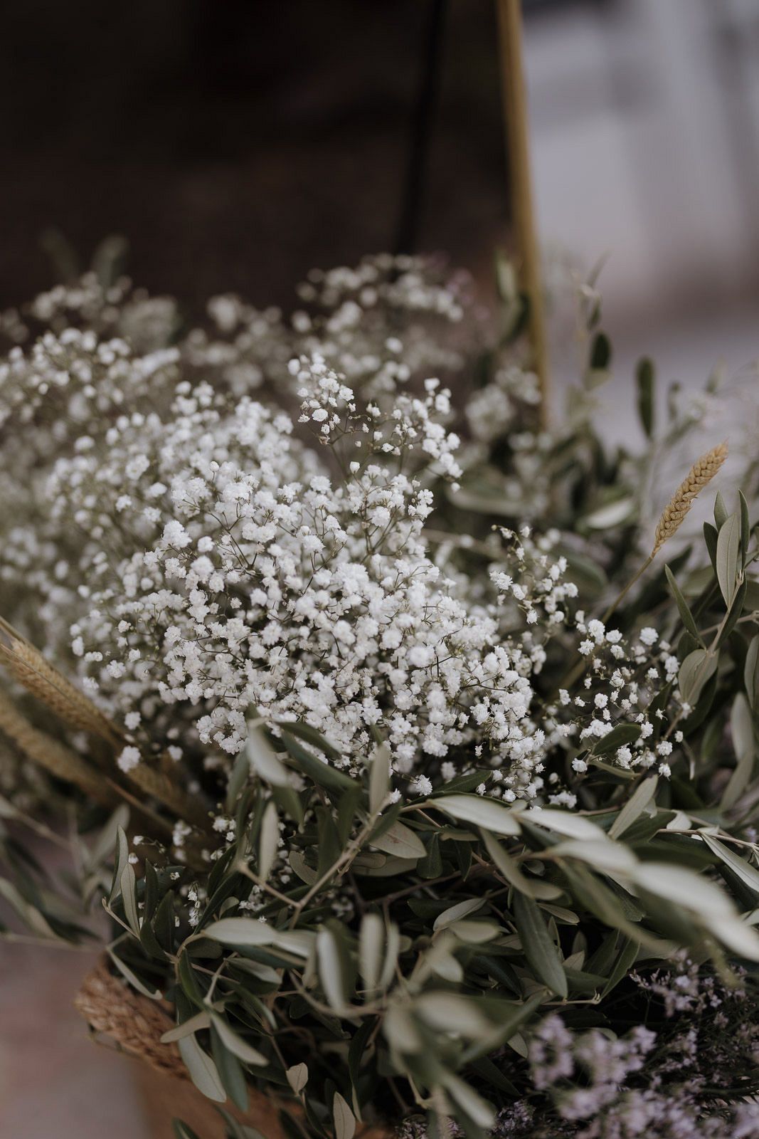 Delicate white baby's breath flowers and olive branches create a romantic floral arrangement against a blurred background.