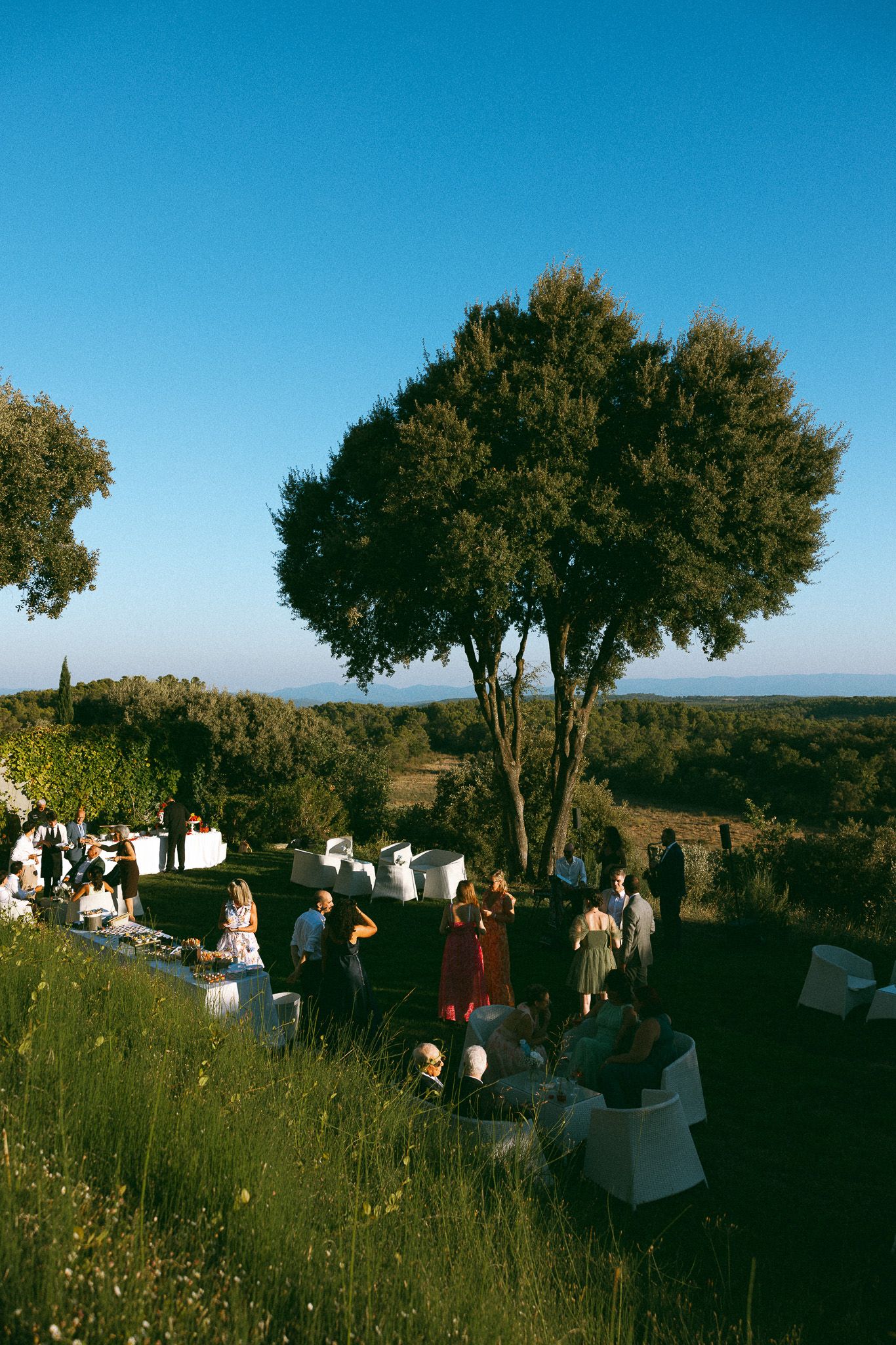Outdoor wedding reception at golden hour with guests mingling around white furniture beneath an olive tree overlooking a scenic landscape.