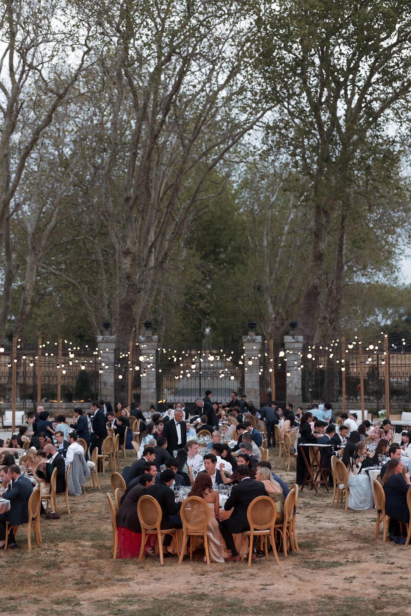 Elegant outdoor wedding reception with string lights, wooden chairs, and guests dining under tall trees at dusk.