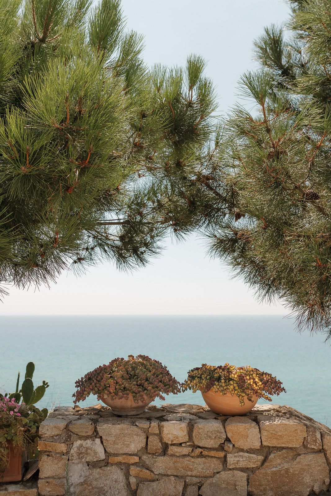 Two terracotta planters with dried flowers sit atop a stone wall overlooking the Mediterranean Sea, framed by pine branches.