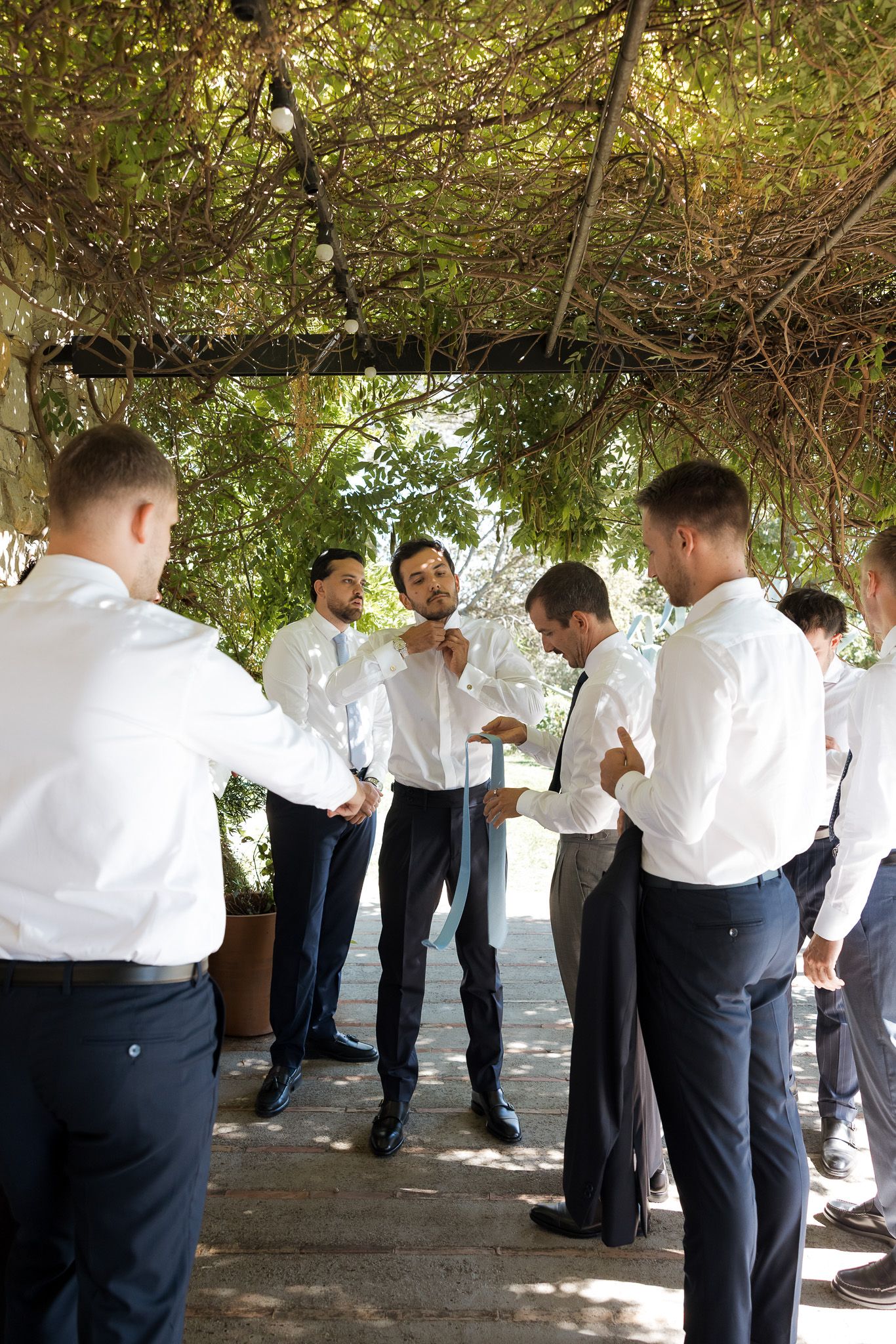 Groomsmen in white shirts and dark pants help each other with ties under a vine-covered outdoor pergola.