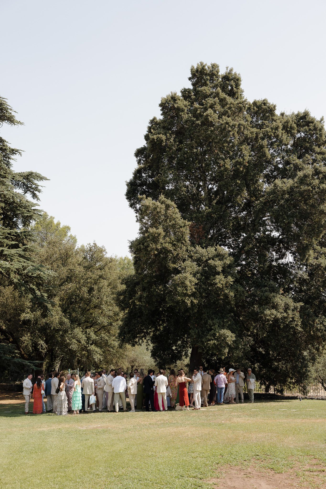 Guests gathered outdoors under large trees on a sunny day for an elegant garden wedding ceremony.