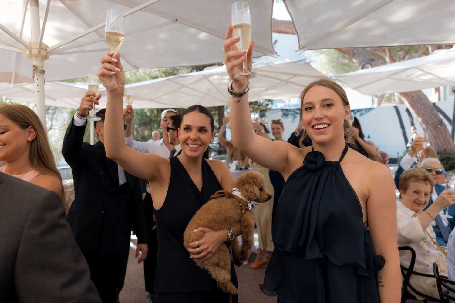 Women in navy dresses toasting with champagne glasses at an outdoor wedding reception, one holding a small dog.