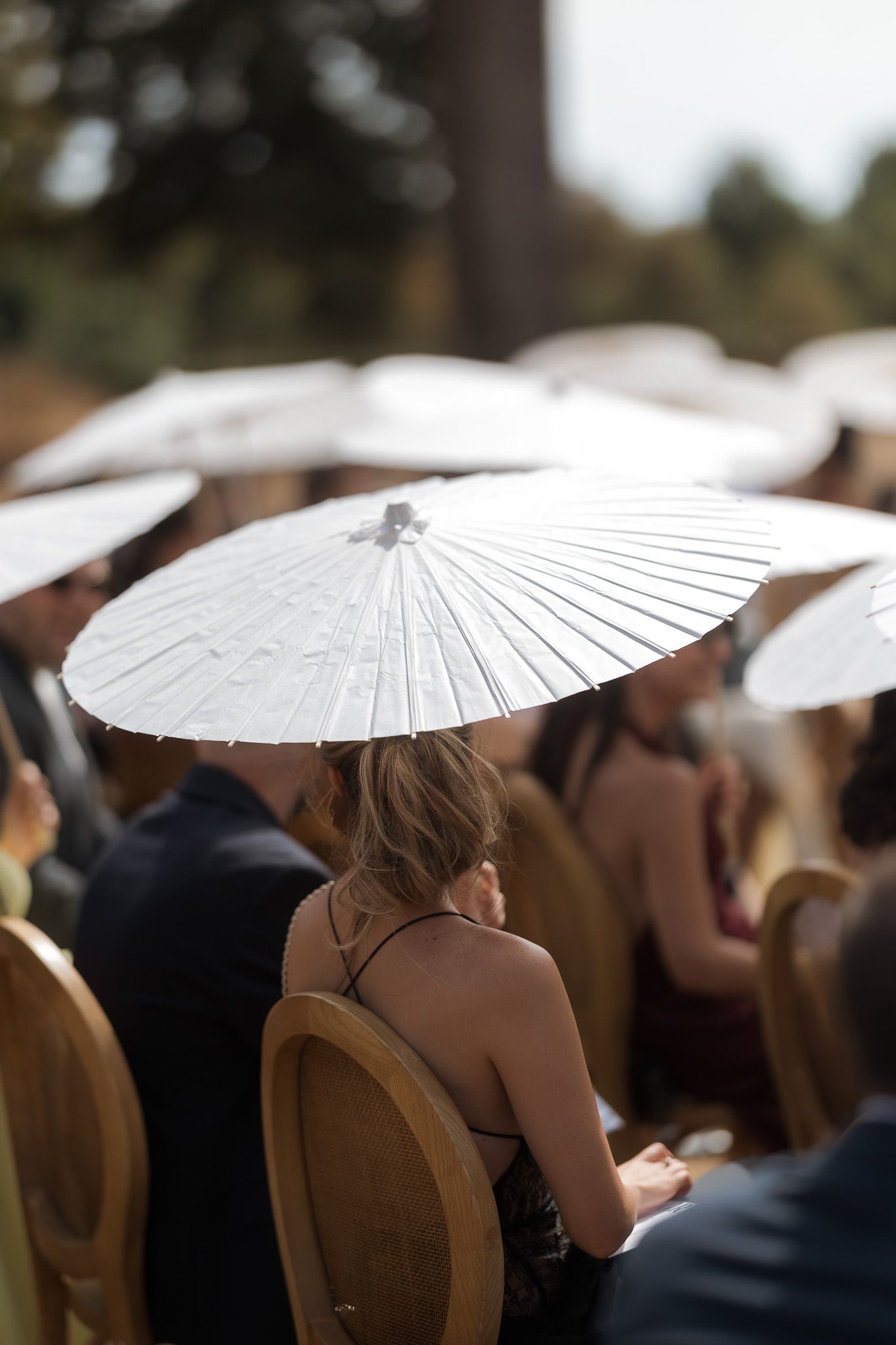 Guests at an outdoor wedding holding white parasol umbrellas for sun protection while seated on wooden chairs.