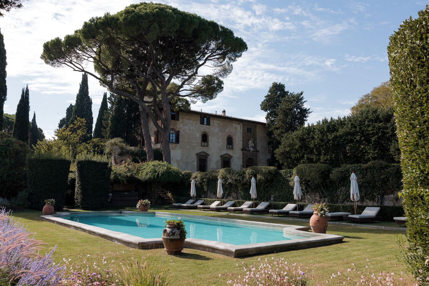 Rustic stone villa with a large umbrella pine overlooking a rectangular swimming pool, sun loungers and lush Tuscan-style gardens.