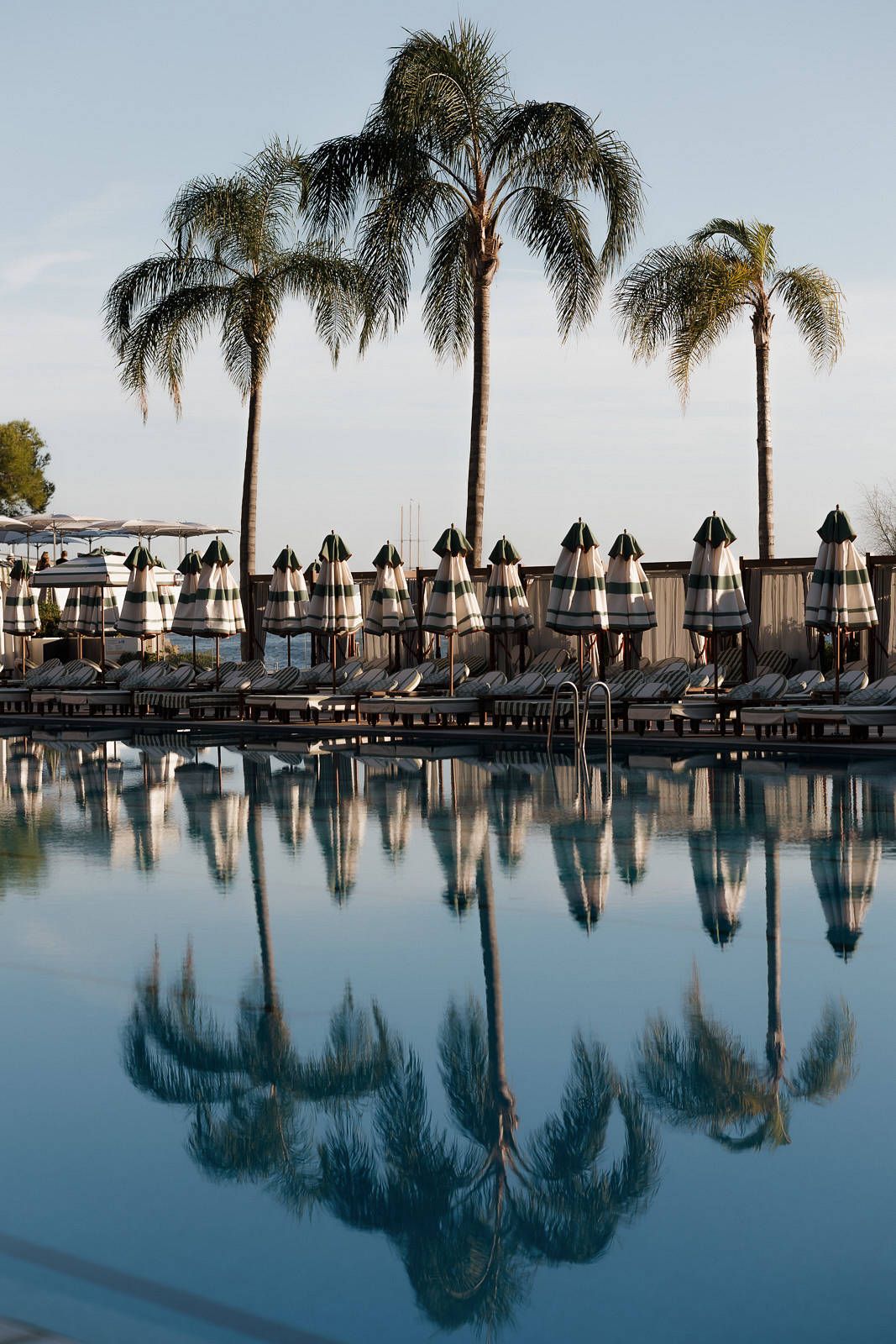 Palm trees and lounge chairs line a pristine resort pool creating perfect mirror reflections in the still water.