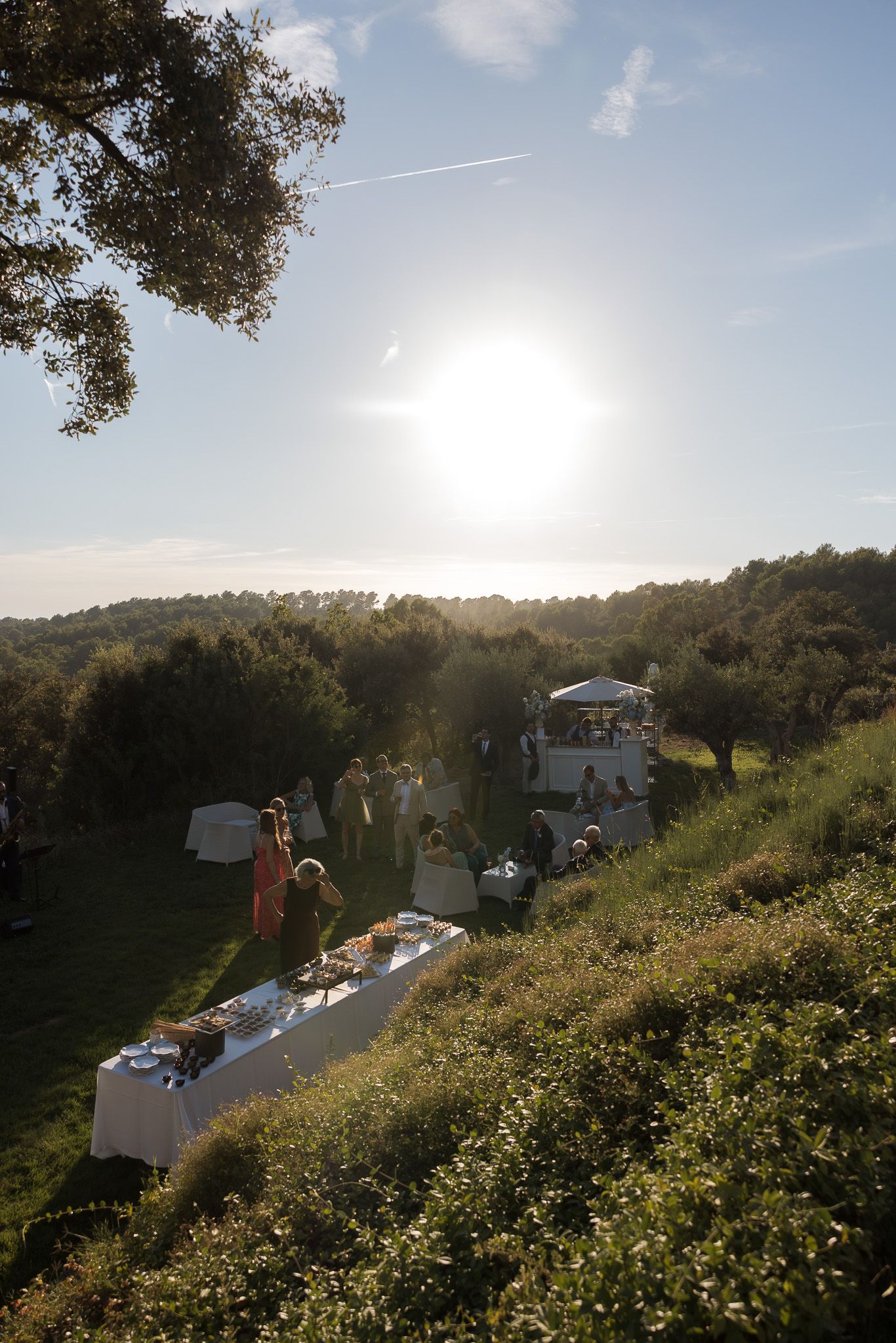 Outdoor garden party with white tablecloths set on a sunny hillside surrounded by lush greenery and trees.