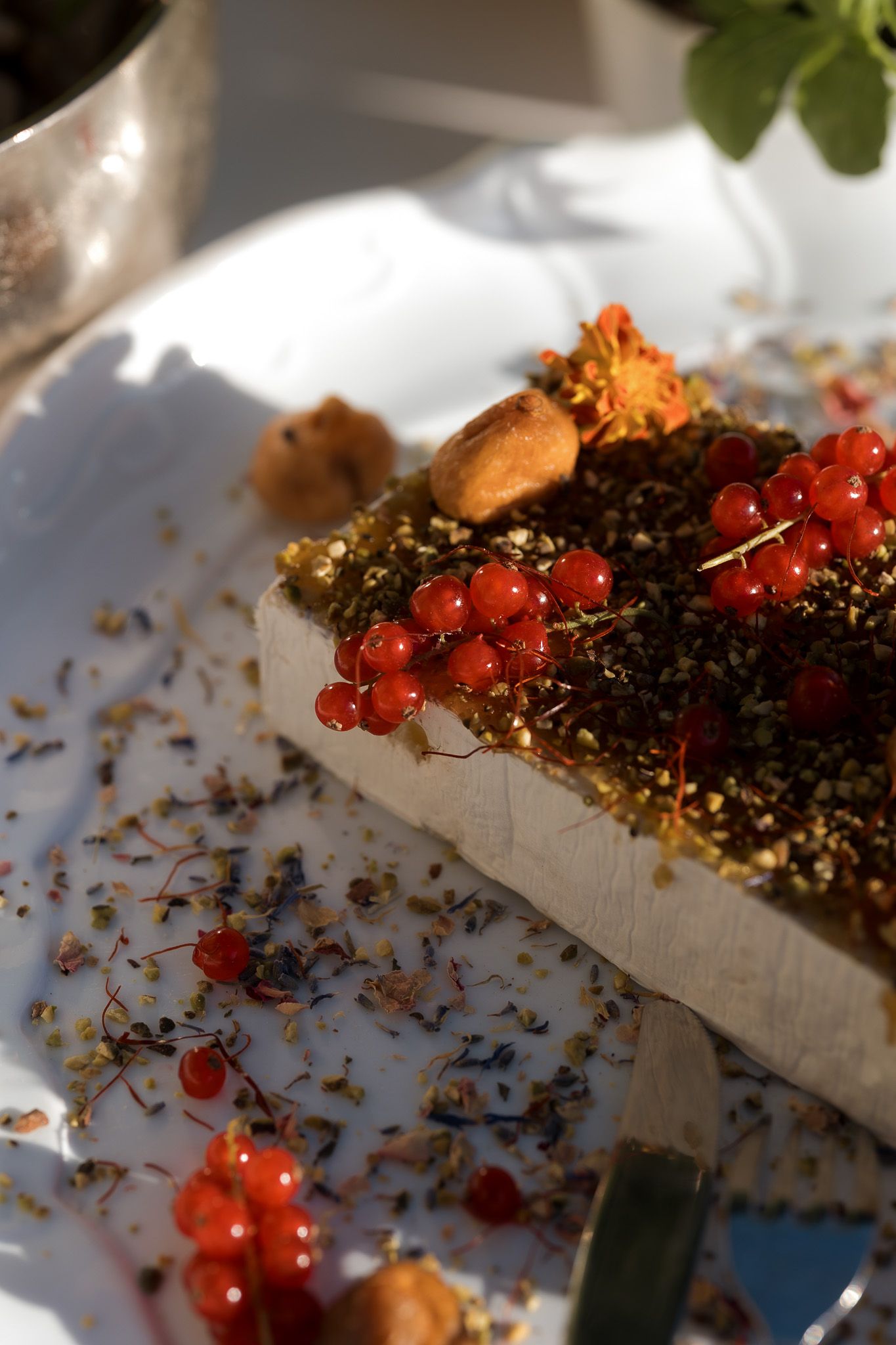 Elegant dessert topped with red currants, nuts, and herbs on a white plate in natural sunlight.