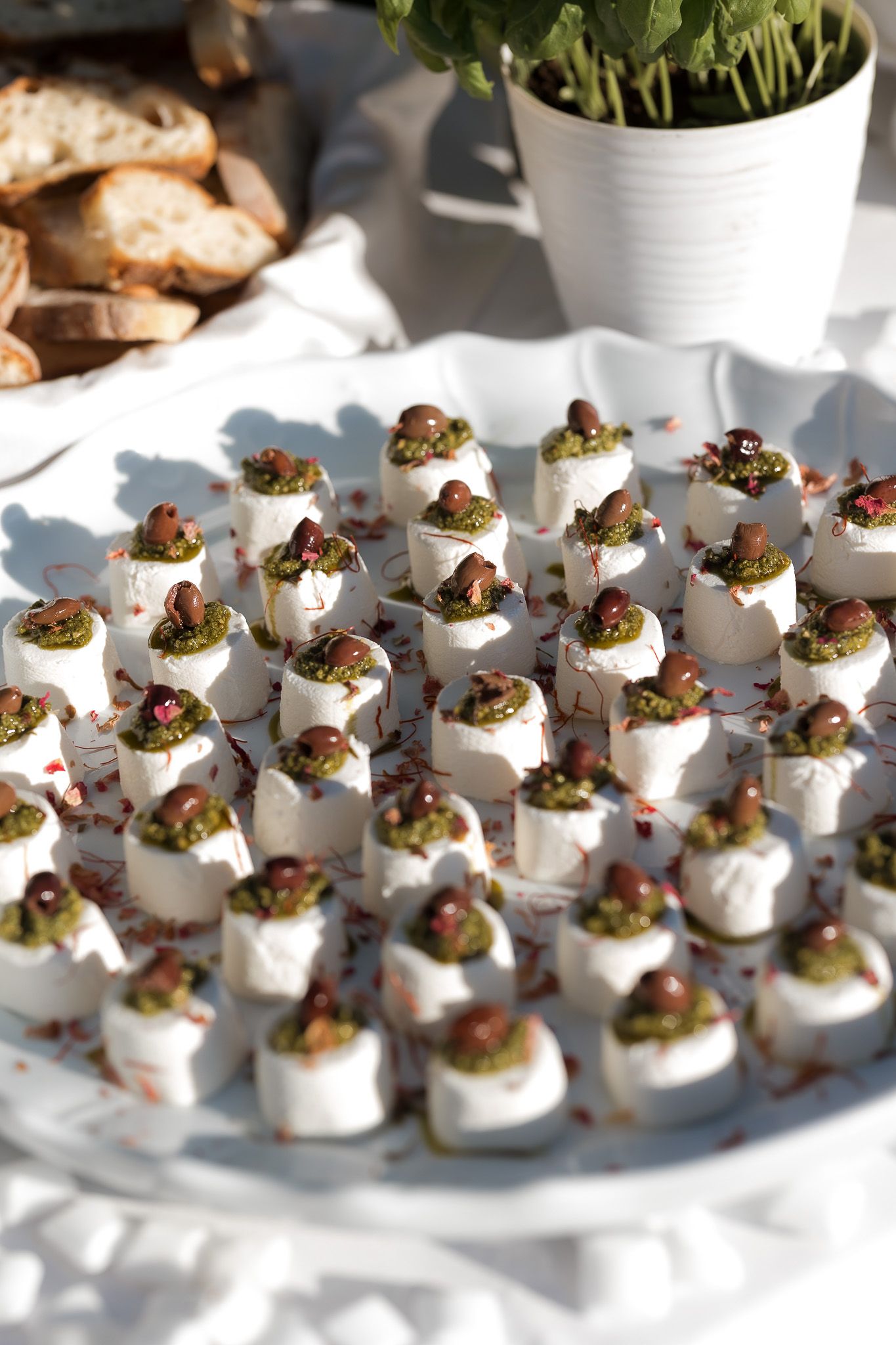 Elegant appetizer platter with white cheese cubes topped with green pesto and olives, served at a catered event.