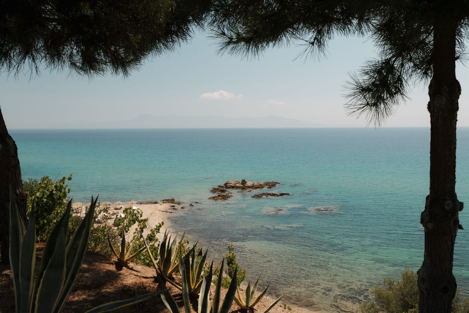 Mediterranean coastline with turquoise waters and rocky outcrops viewed through pine tree branches.