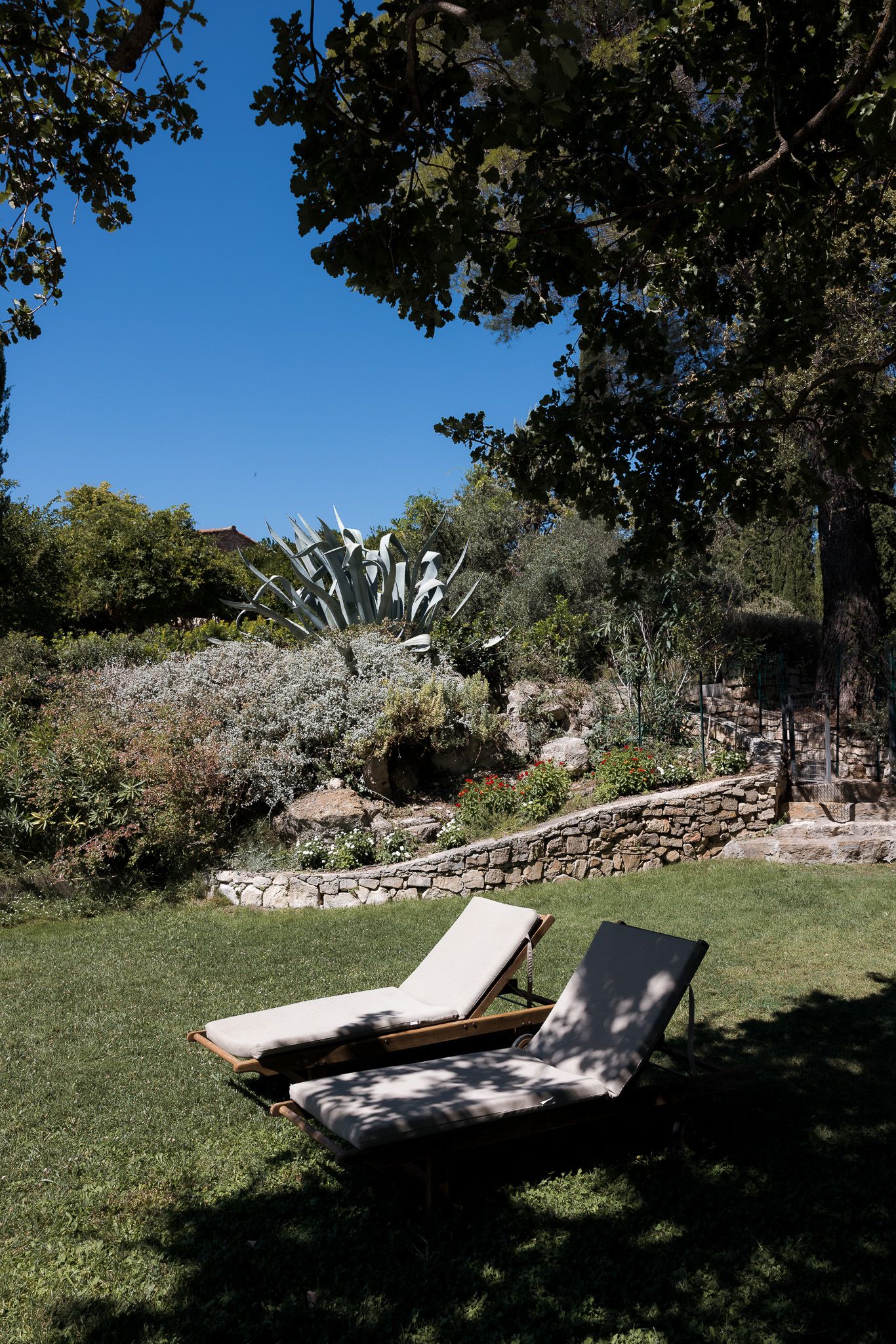 Two lounge chairs on green lawn beside stone wall garden with agave plants under blue sky.
