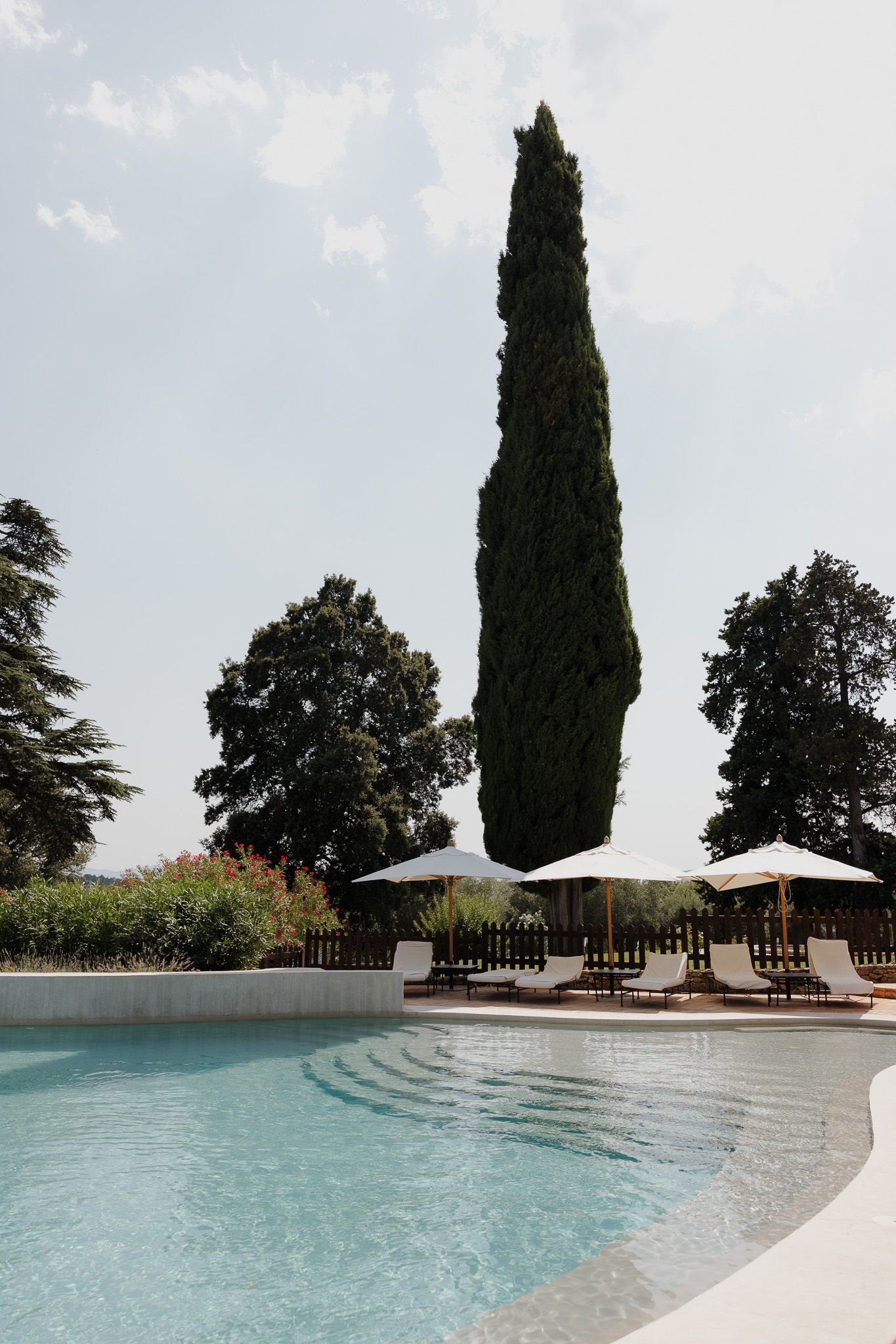 Elegant outdoor pool with lounge chairs, white umbrellas, and a tall cypress tree surrounded by lush greenery.