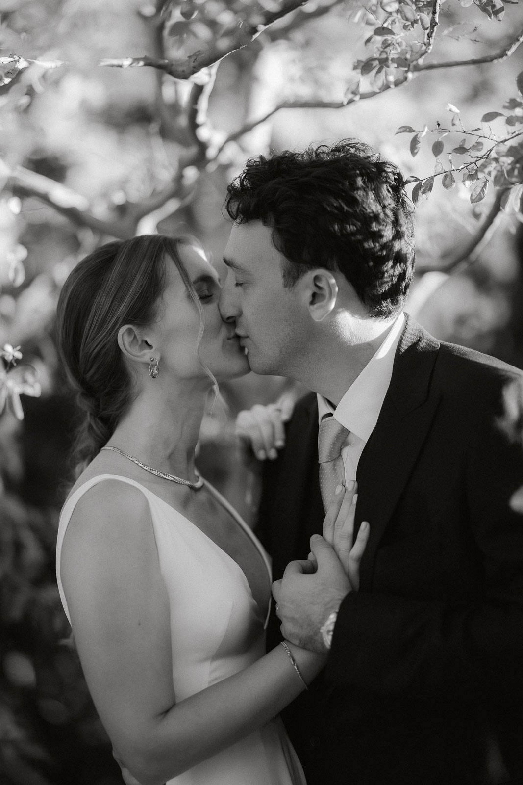 A romantic black and white photo sequence of a couple sharing tender kisses under blooming cherry blossoms.